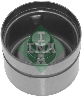420017010 INA