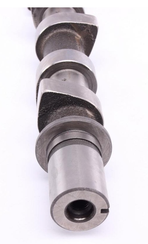 428016310 INA