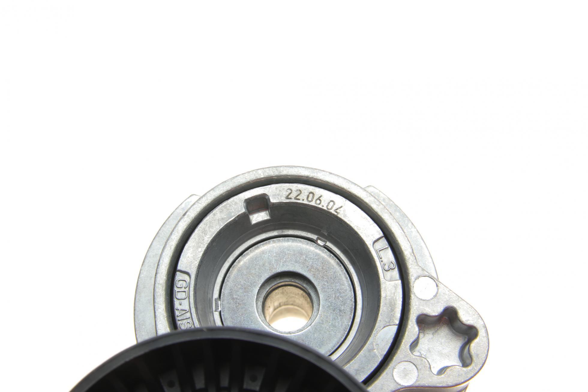 529004410 INA