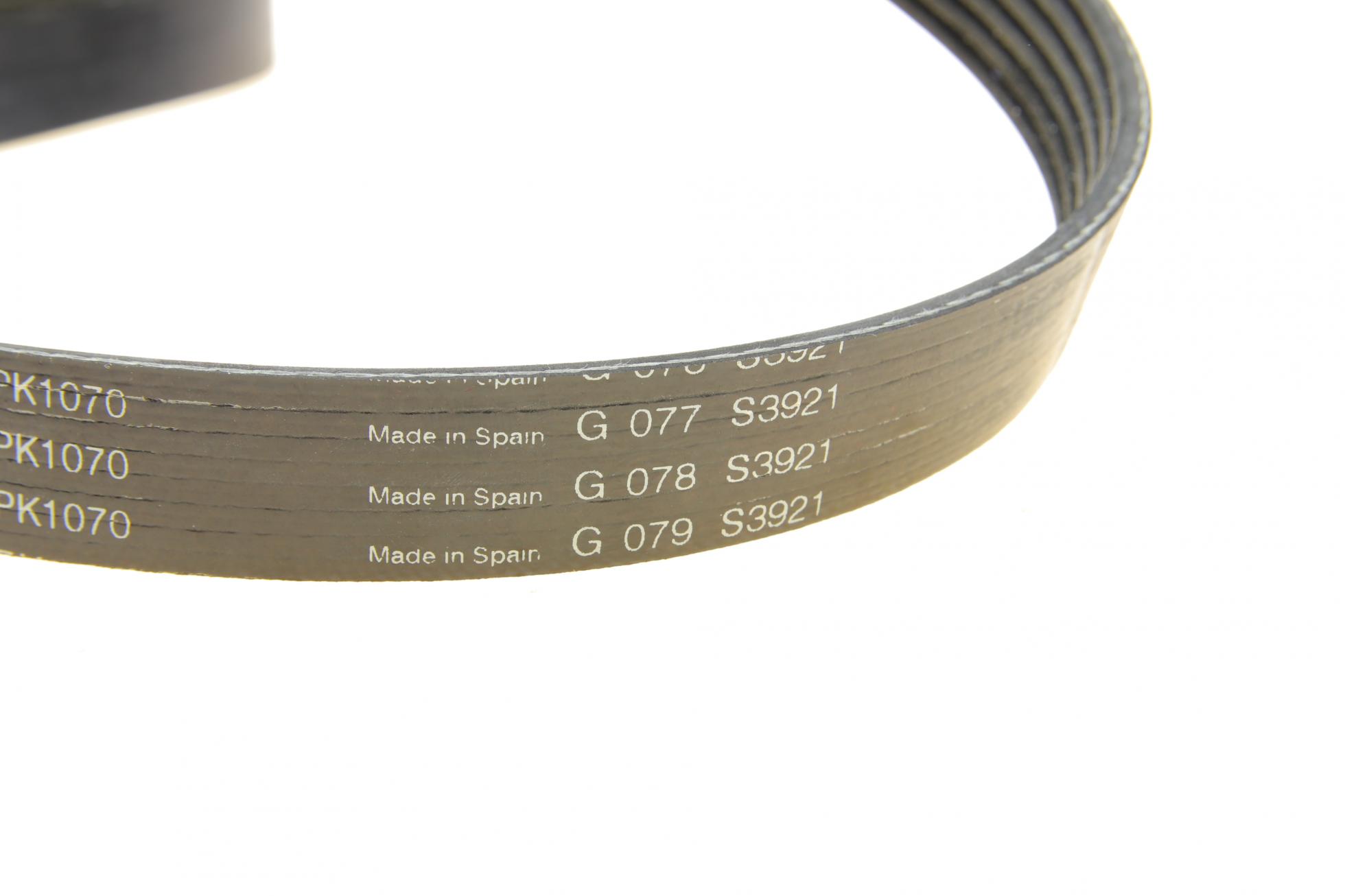 529008410 INA
