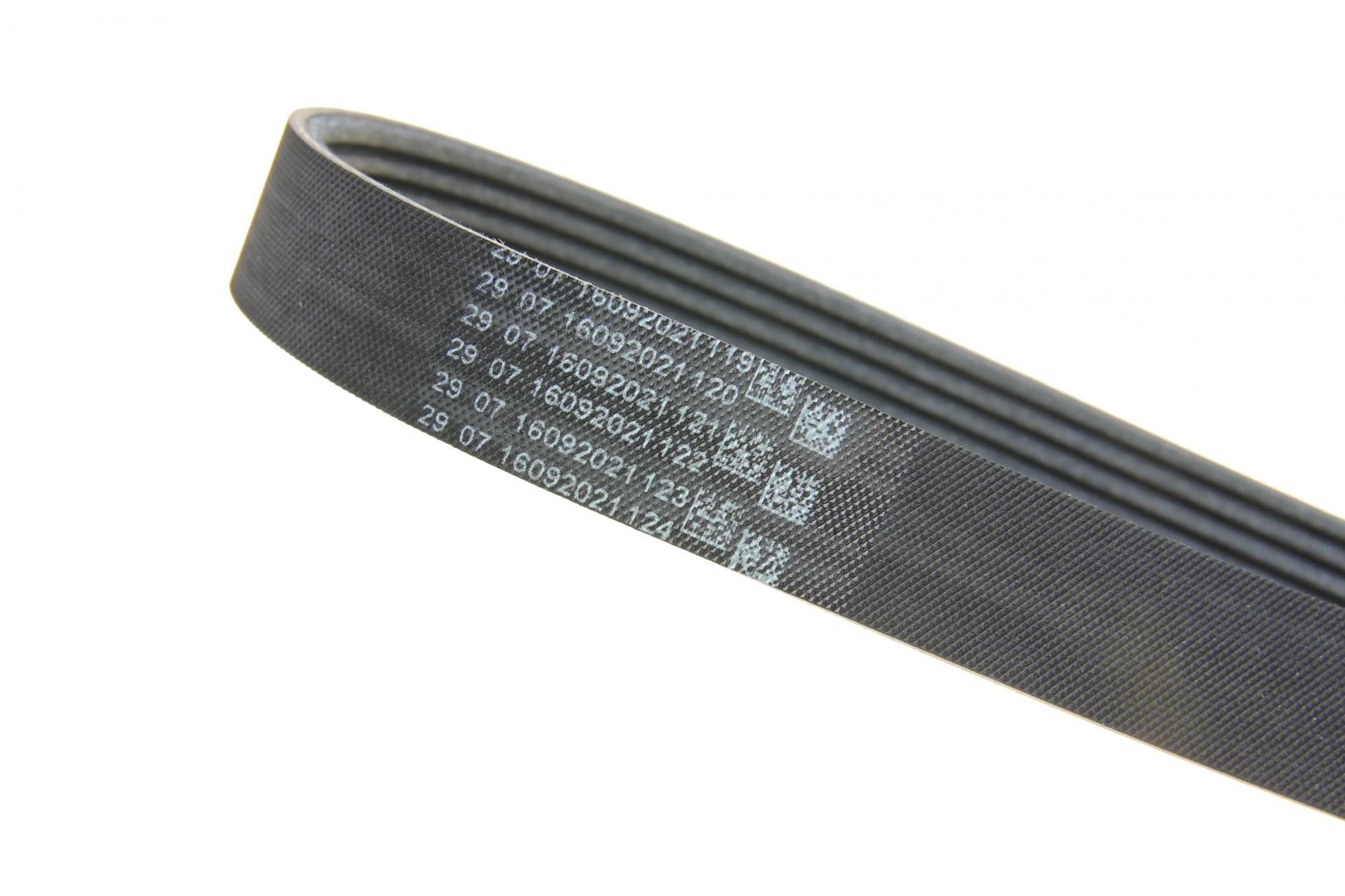 529016010 INA