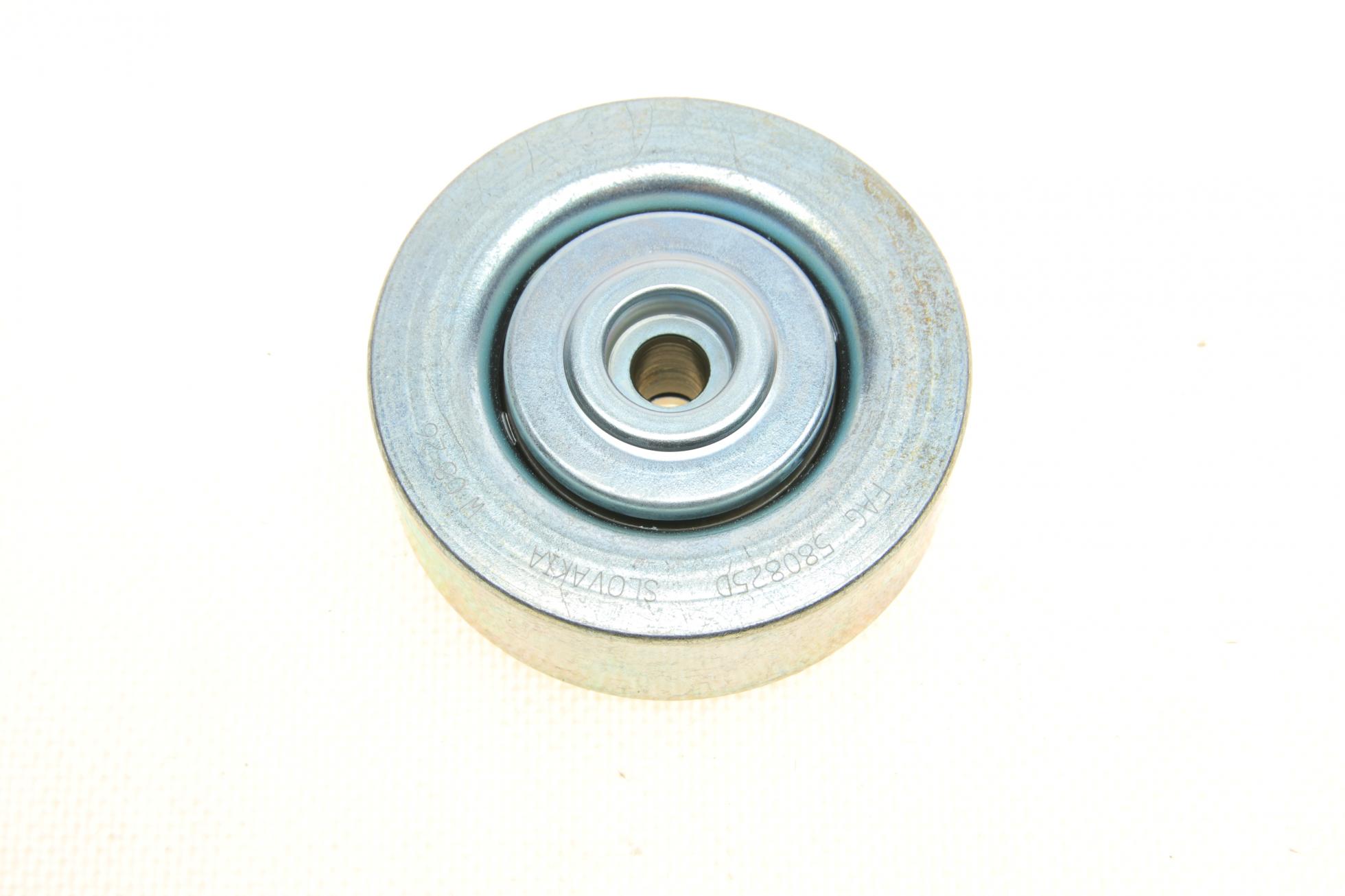 529025310 INA