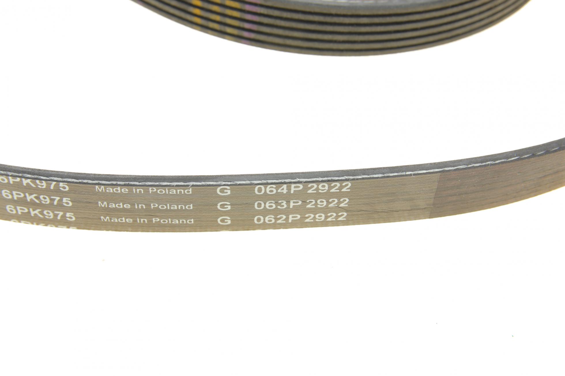 529054010 INA