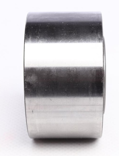 530058110 INA