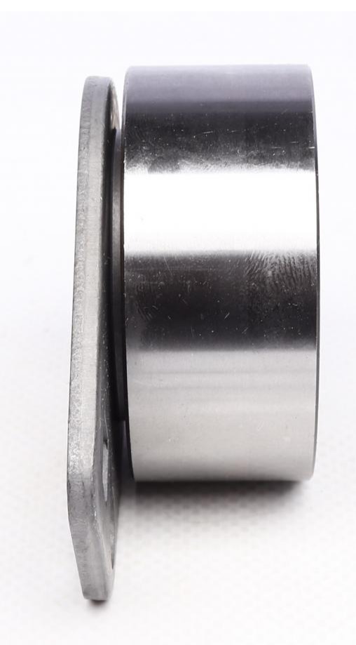 530058110 INA