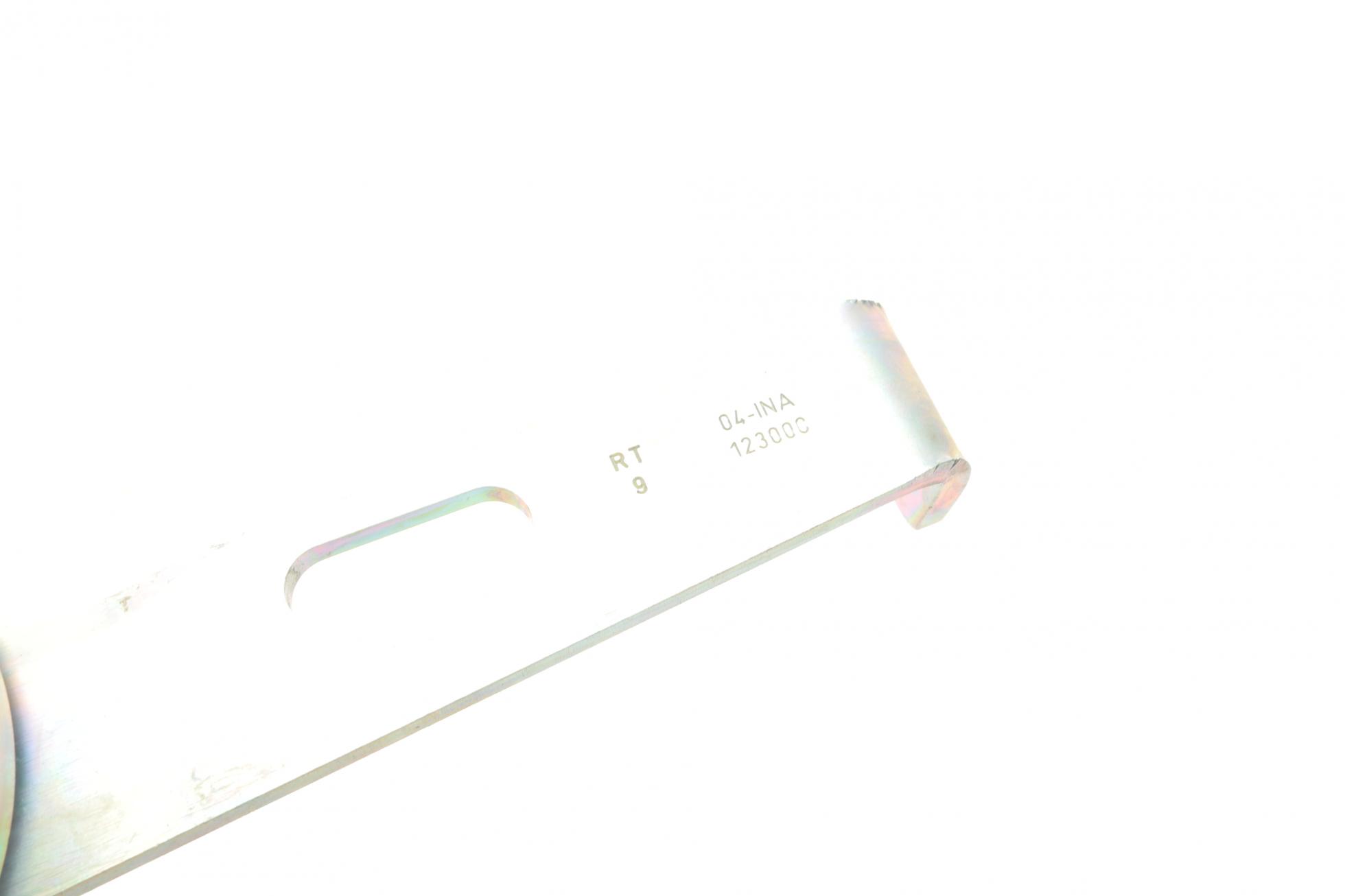 531009710 INA