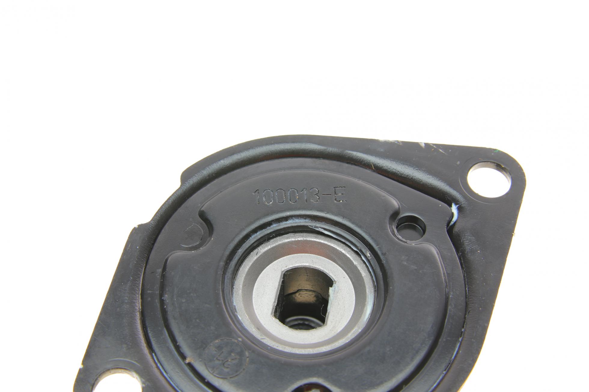 534018810 INA
