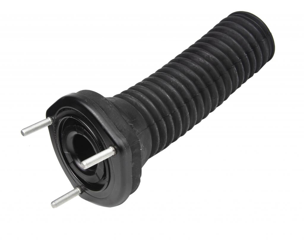 RC48760 RAISO