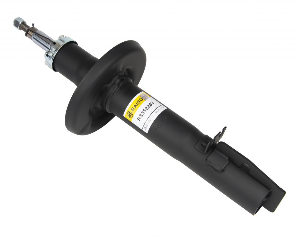 RS312288 RAISO