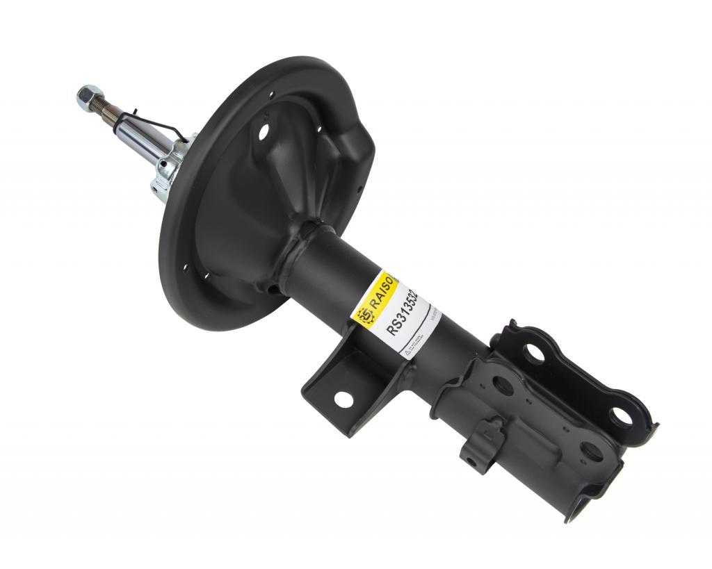 RS313532 RAISO