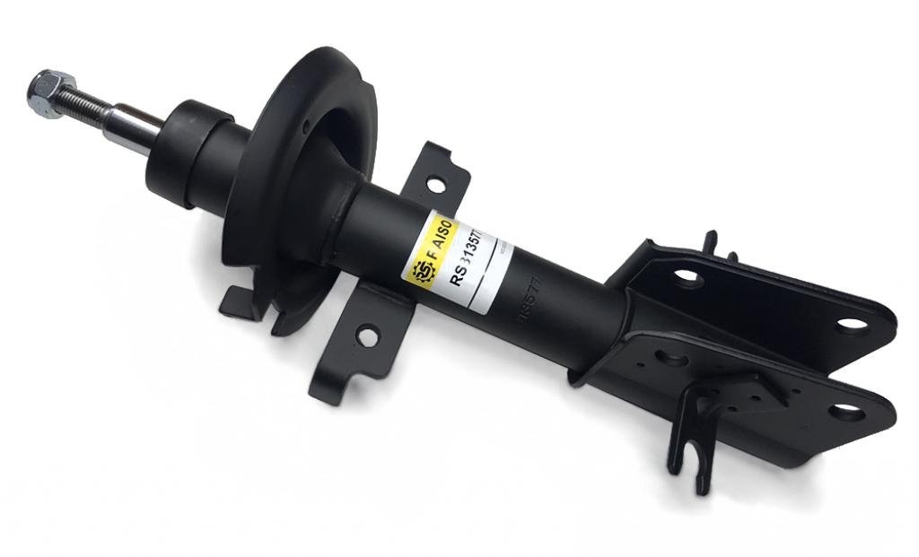 RS313577 RAISO