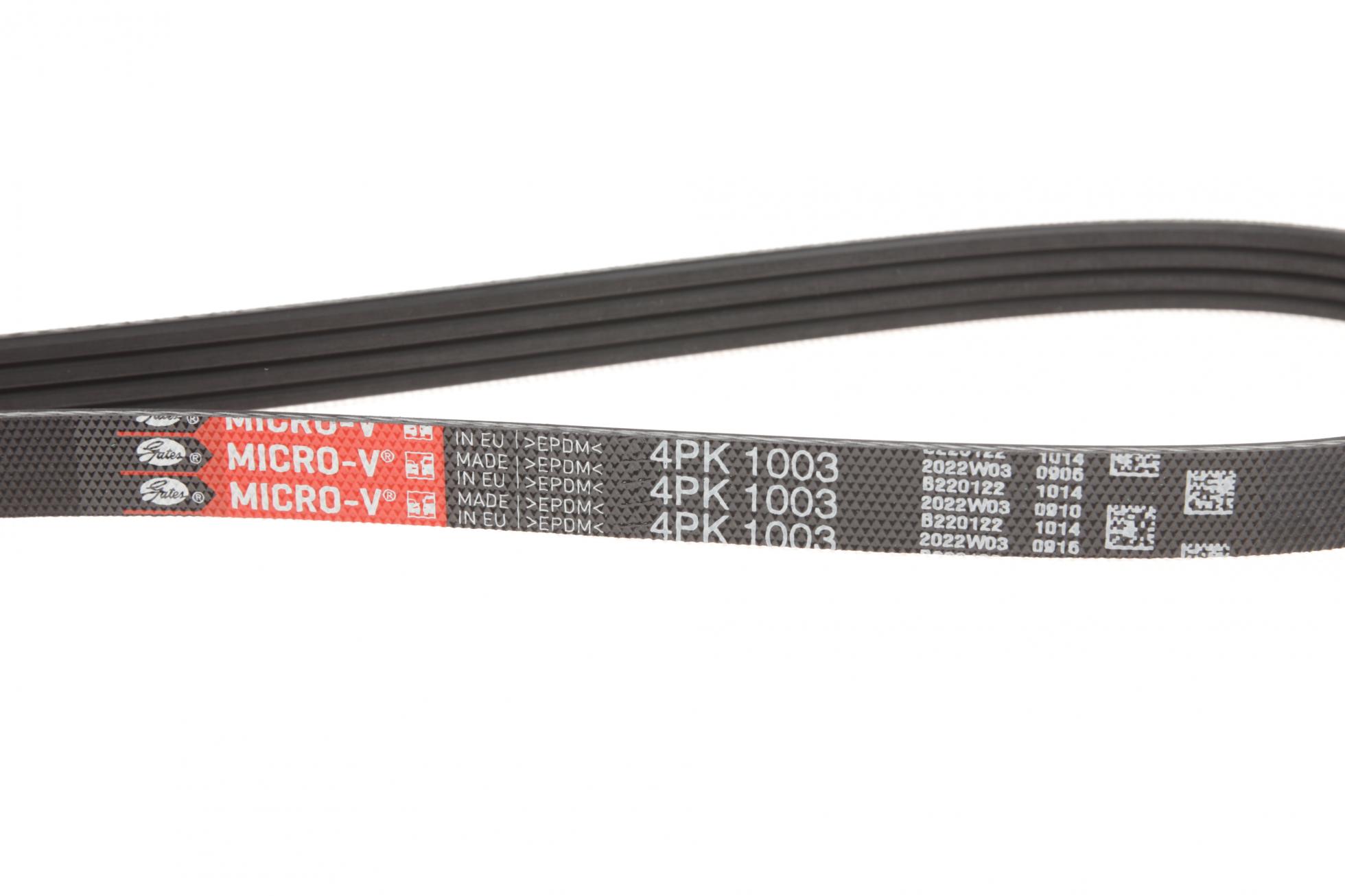 4PK1003 GATES