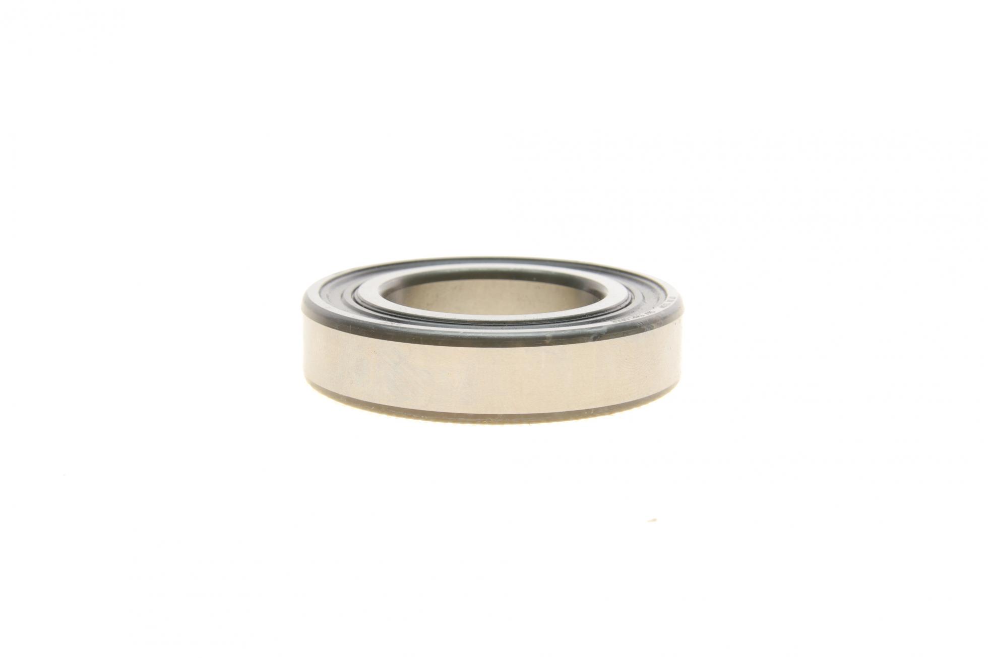 60072RS1 SKF