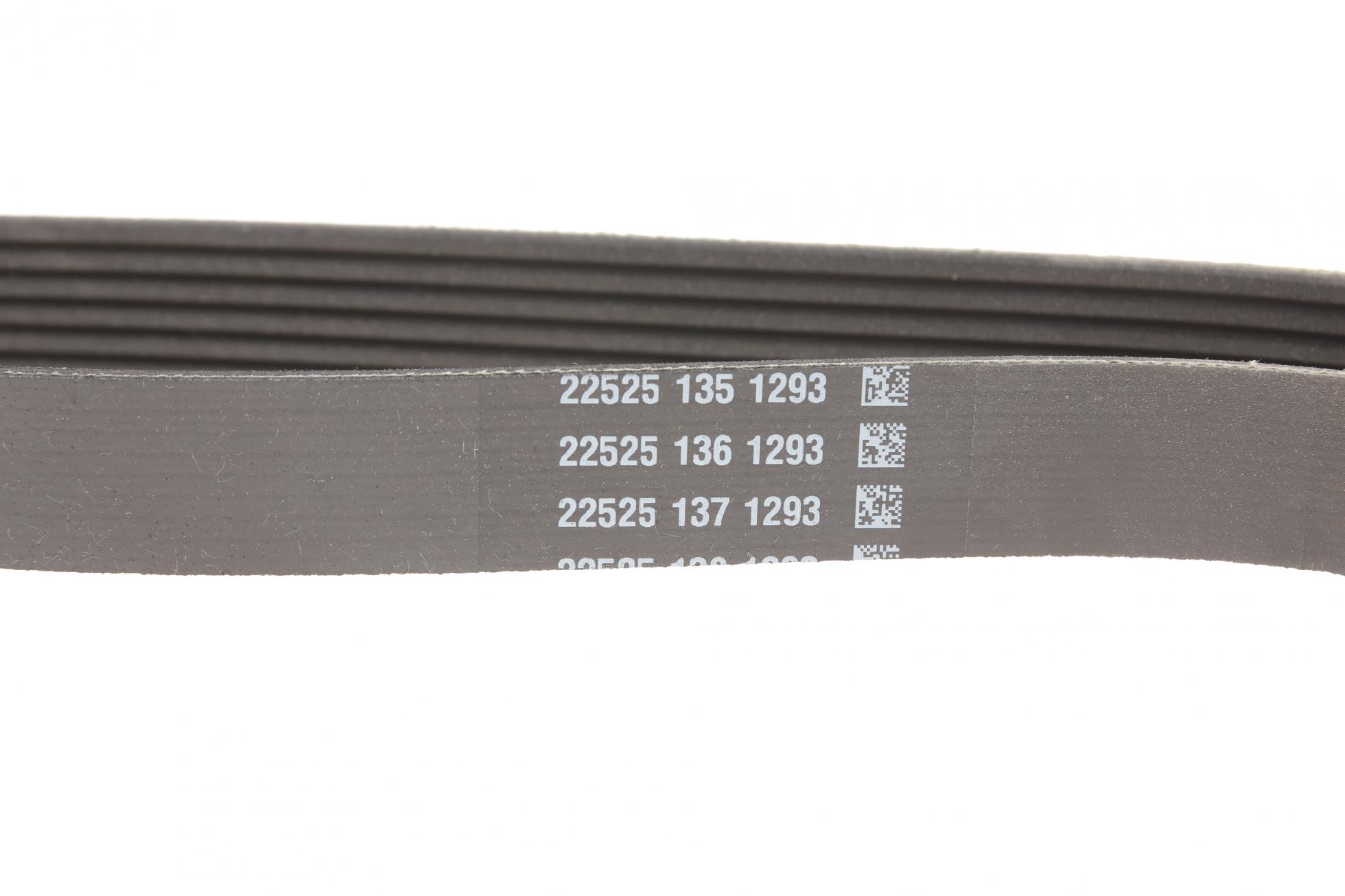 6PK1004K DAYCO