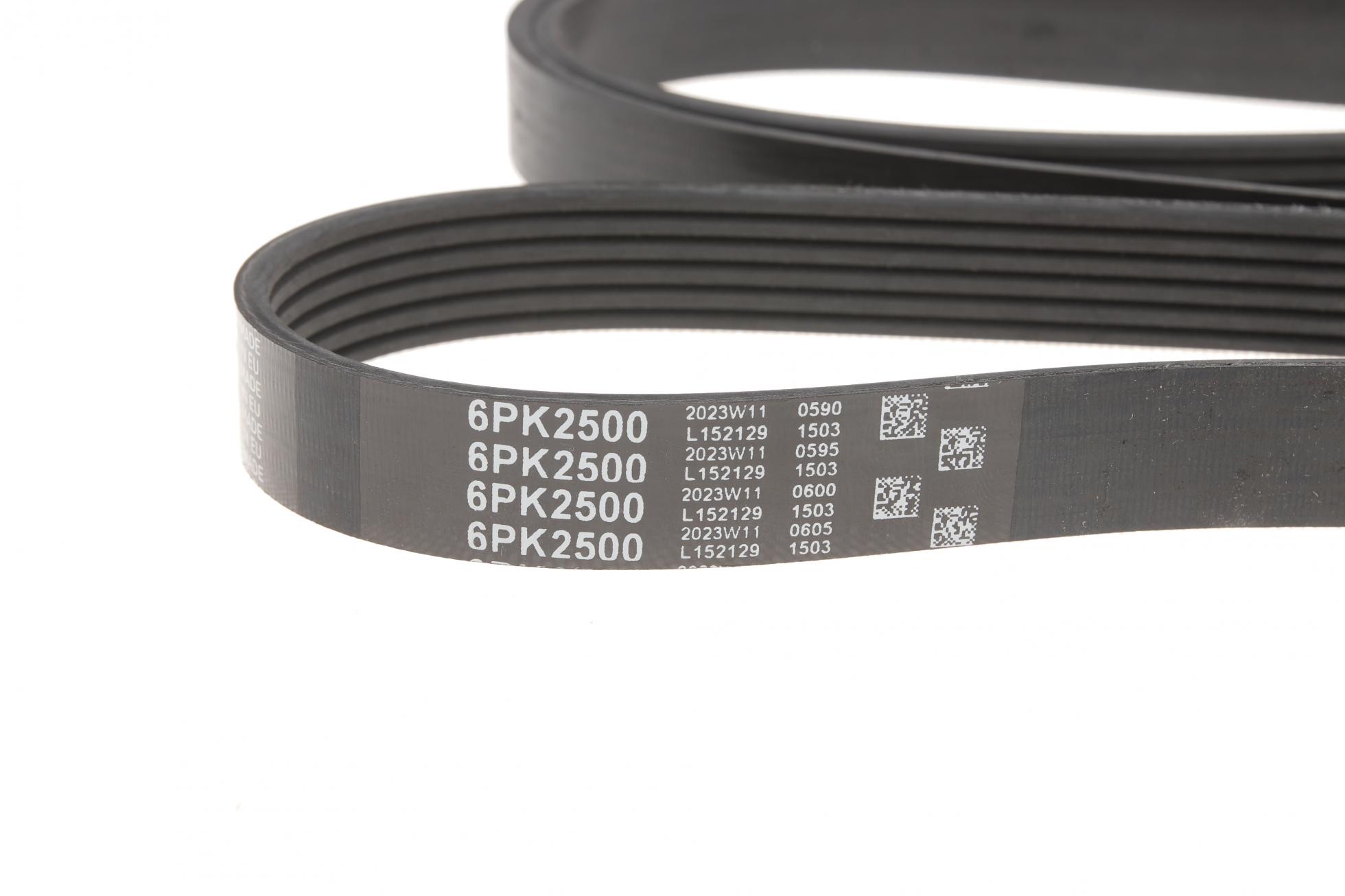 6PK2500 GATES