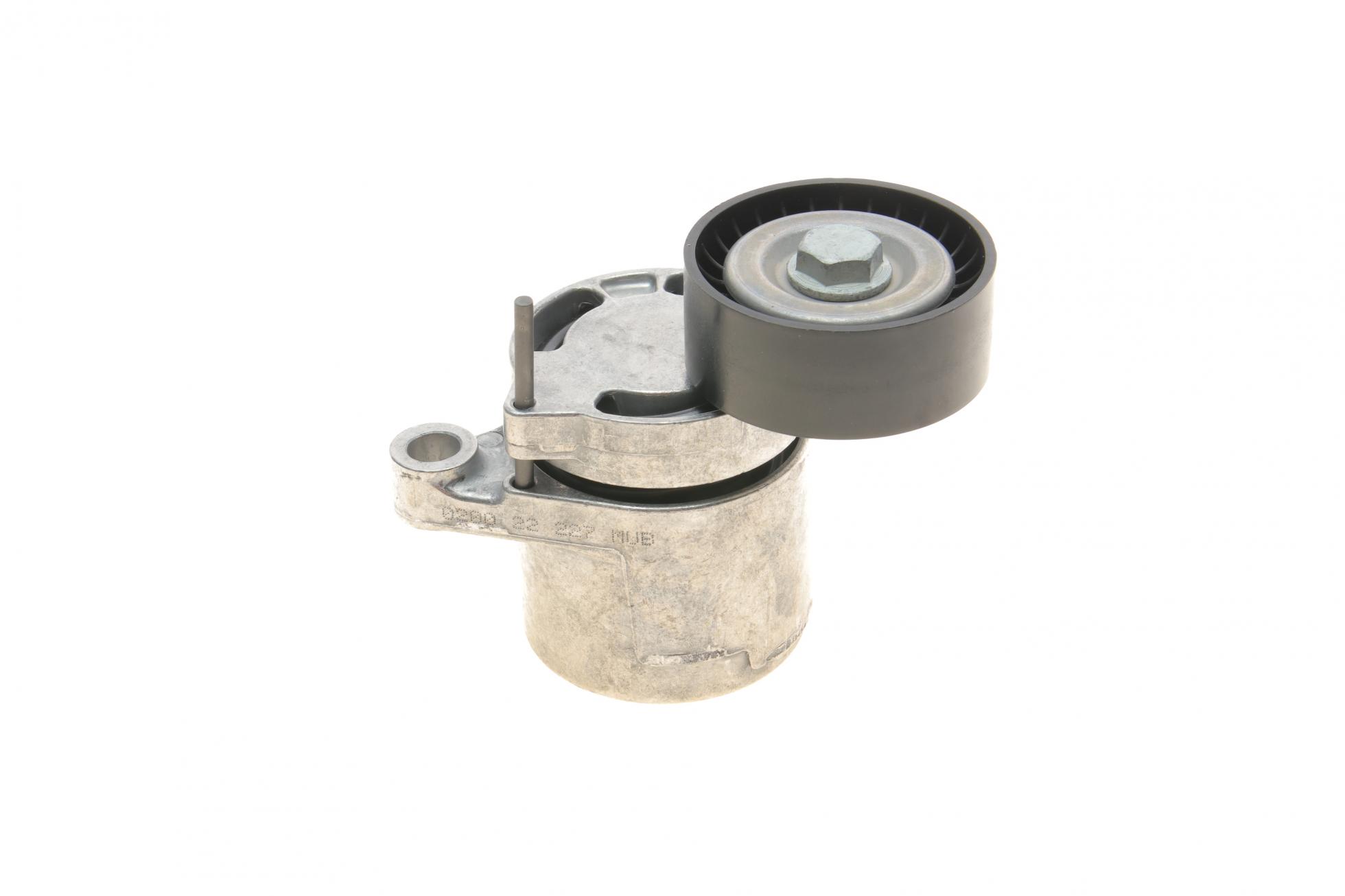 APV3239 DAYCO
