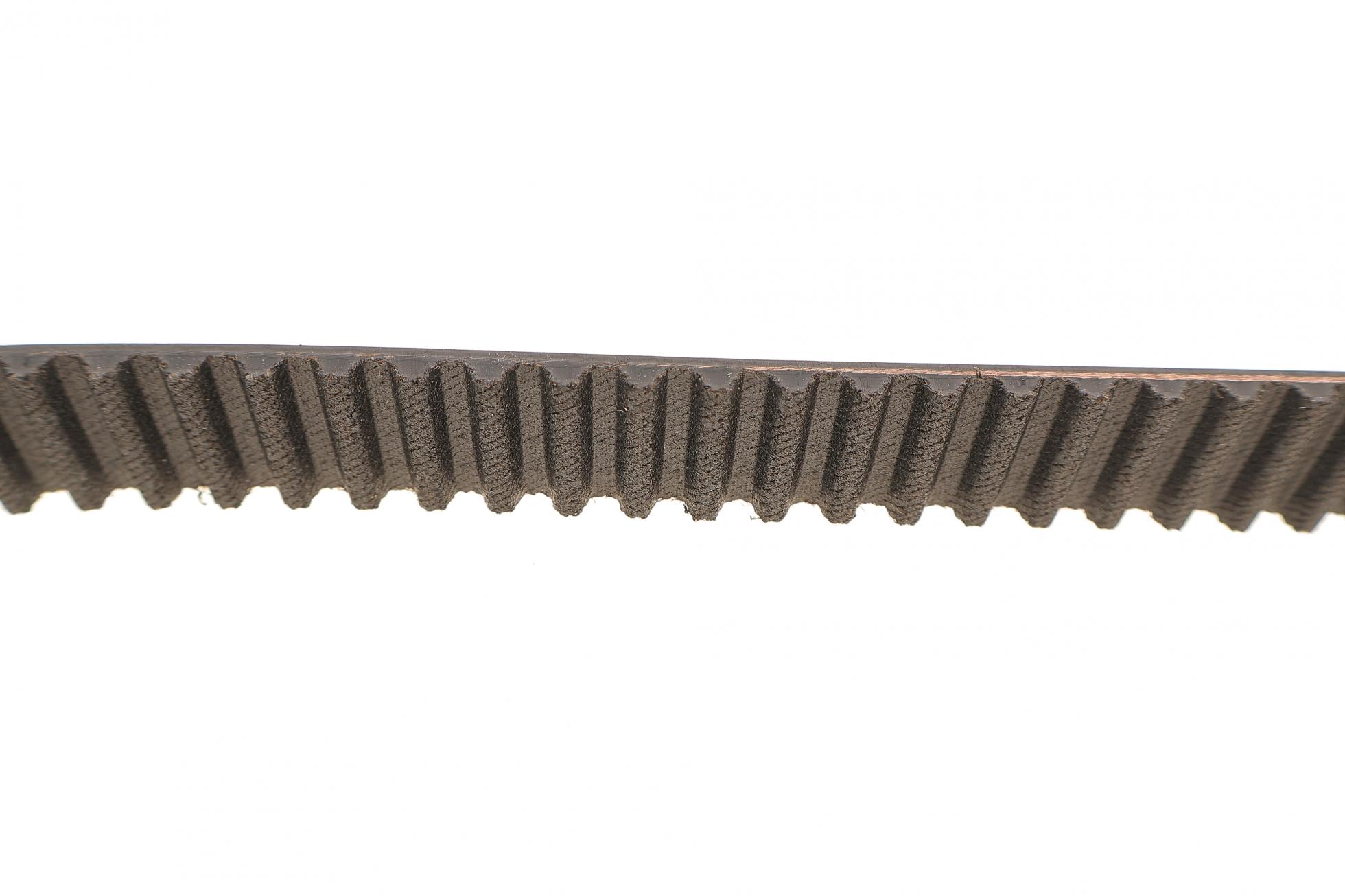 VKMC019181 SKF