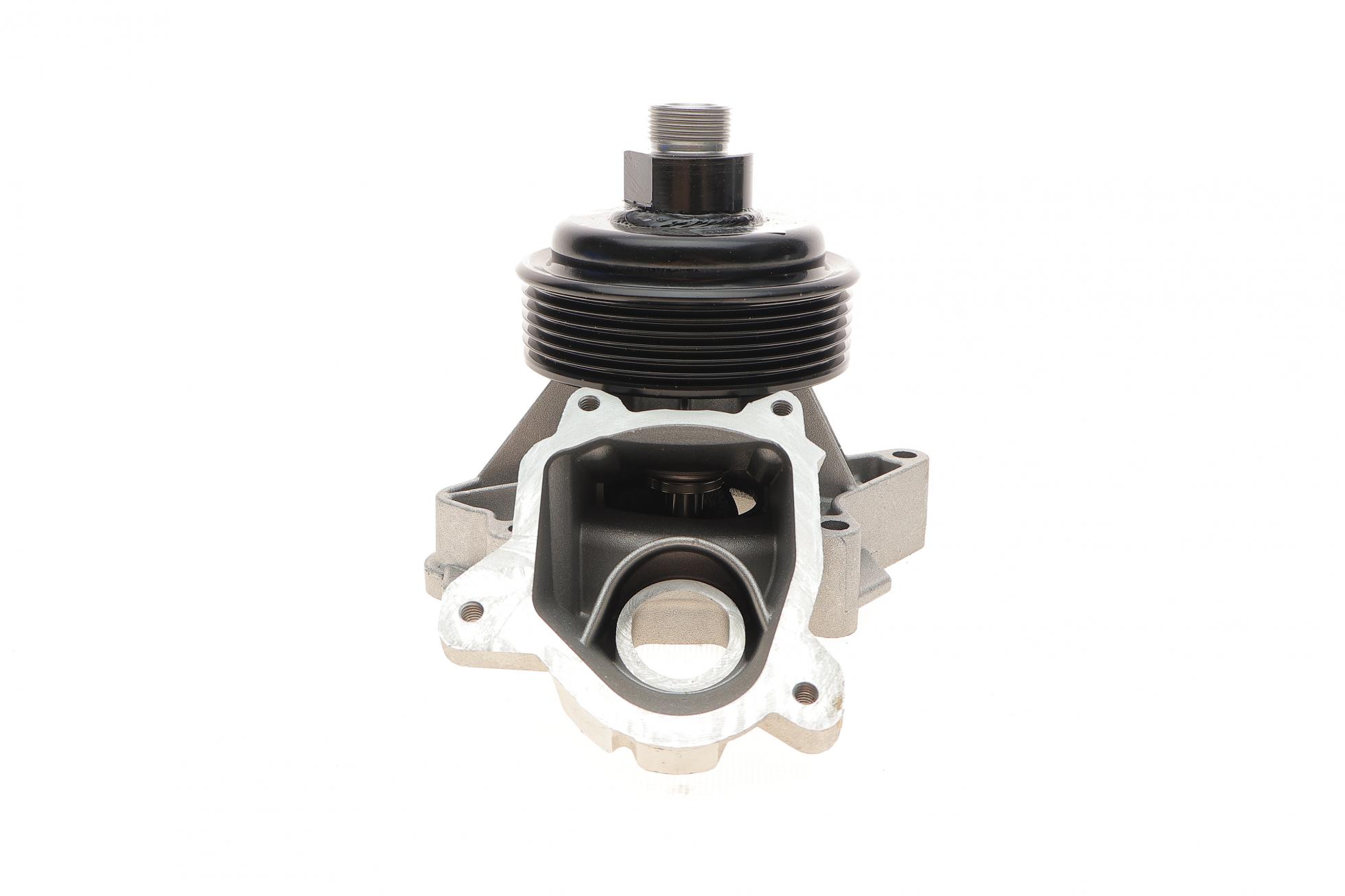 VKPC88636 SKF