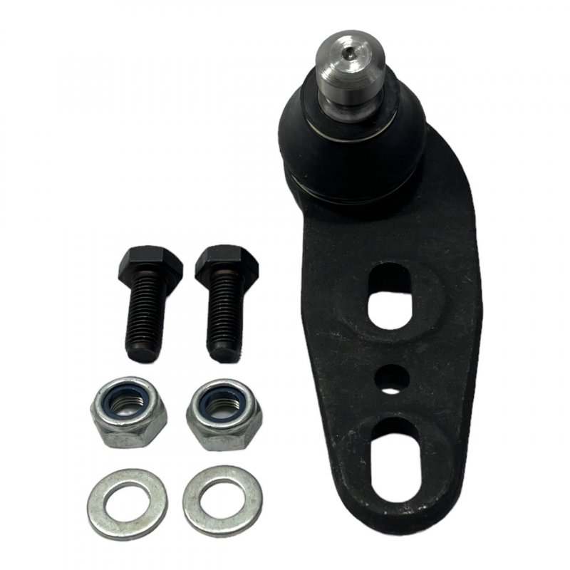 INF100161 INA-FOR