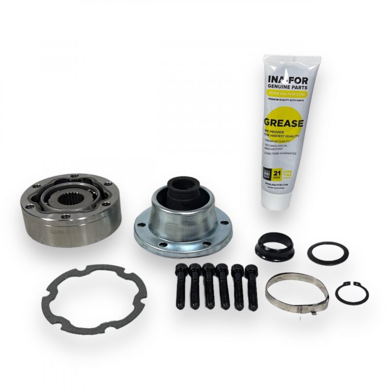 INF300409 INA-FOR