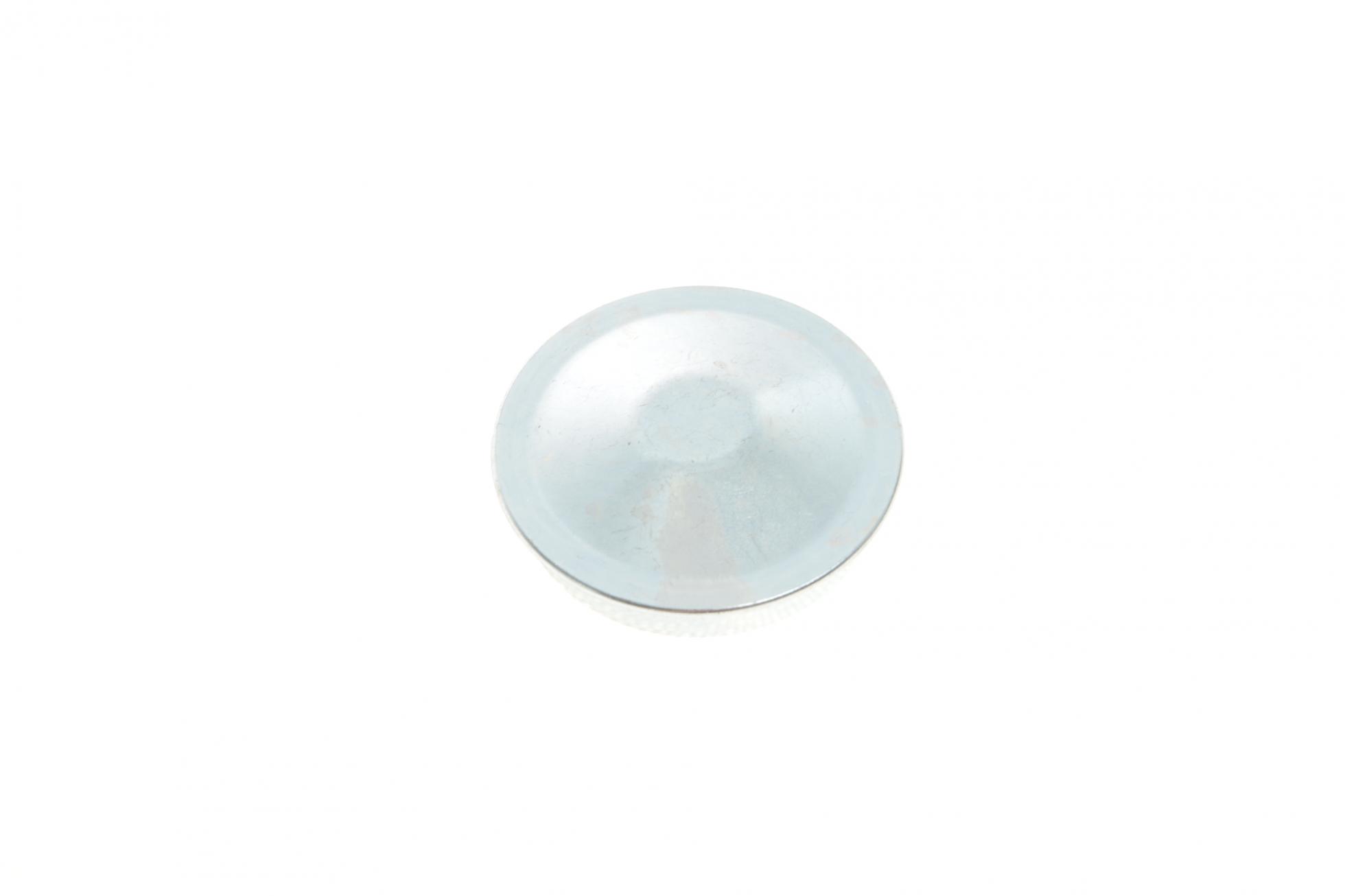 BG9024RS DELPHI