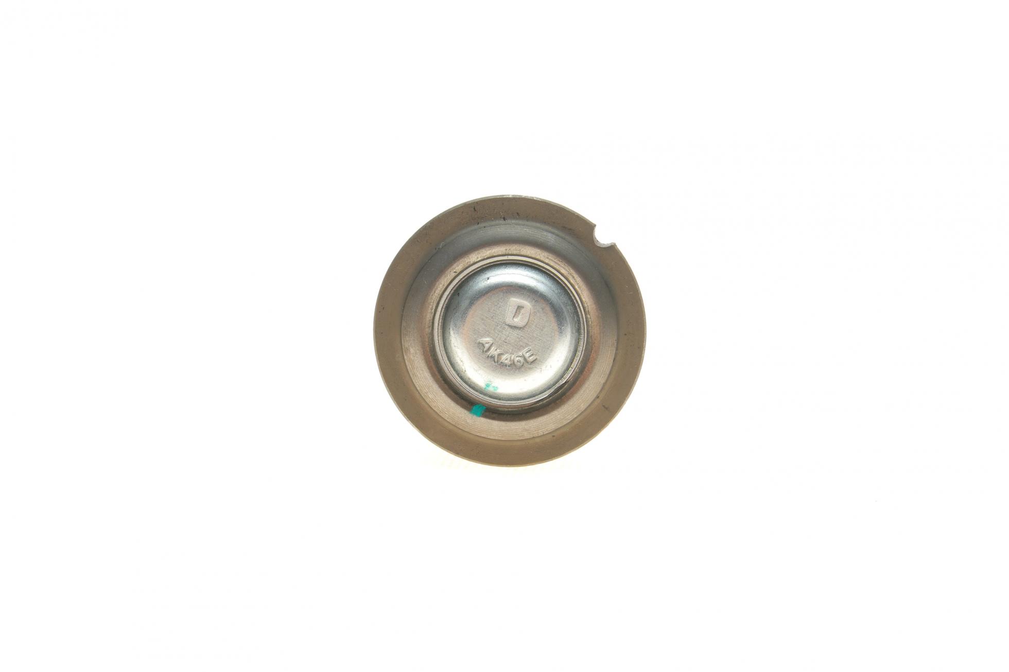 TC696 DELPHI