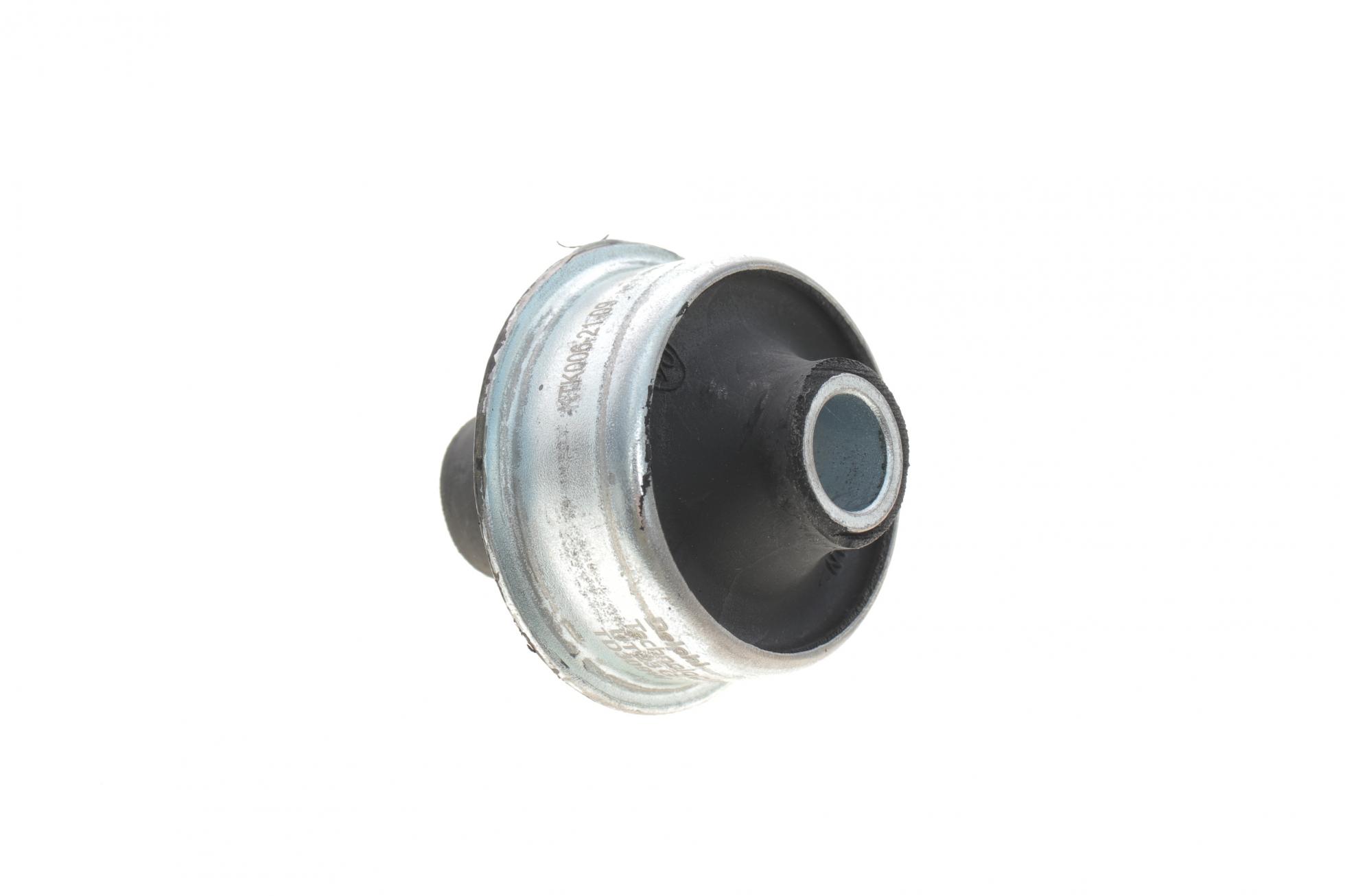 TD309W DELPHI