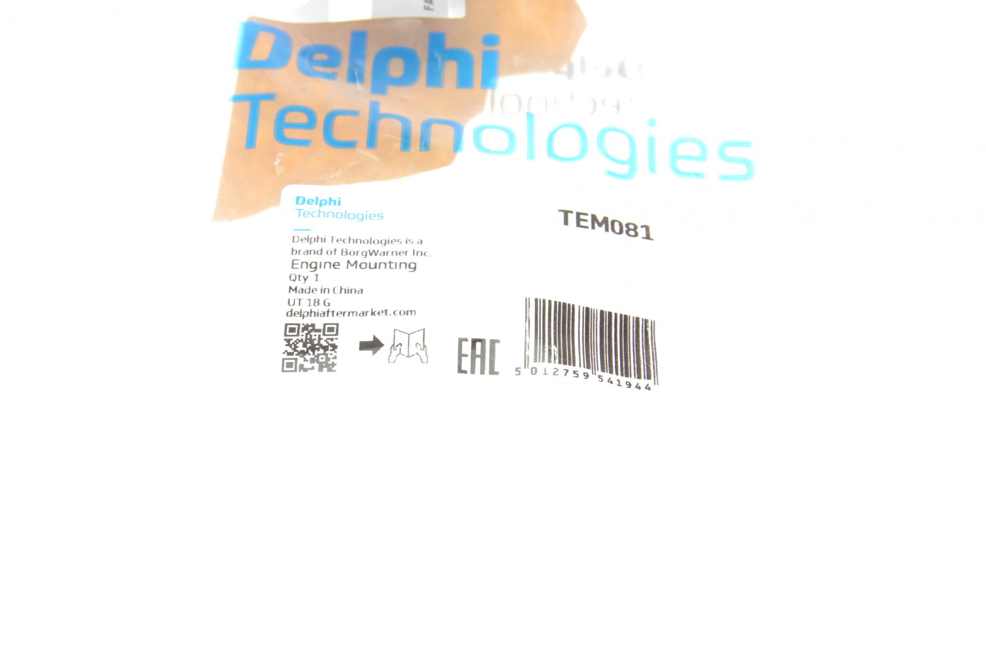 TEM081 DELPHI