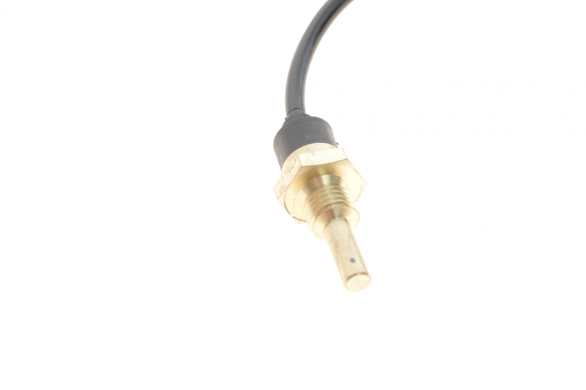 TS10493 DELPHI