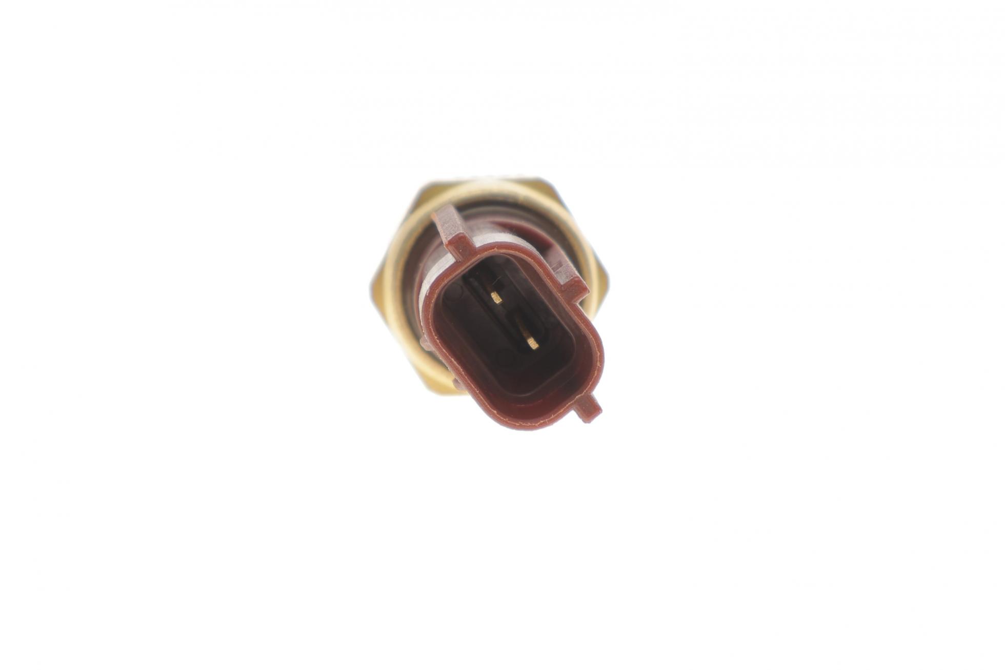 TS10509 DELPHI