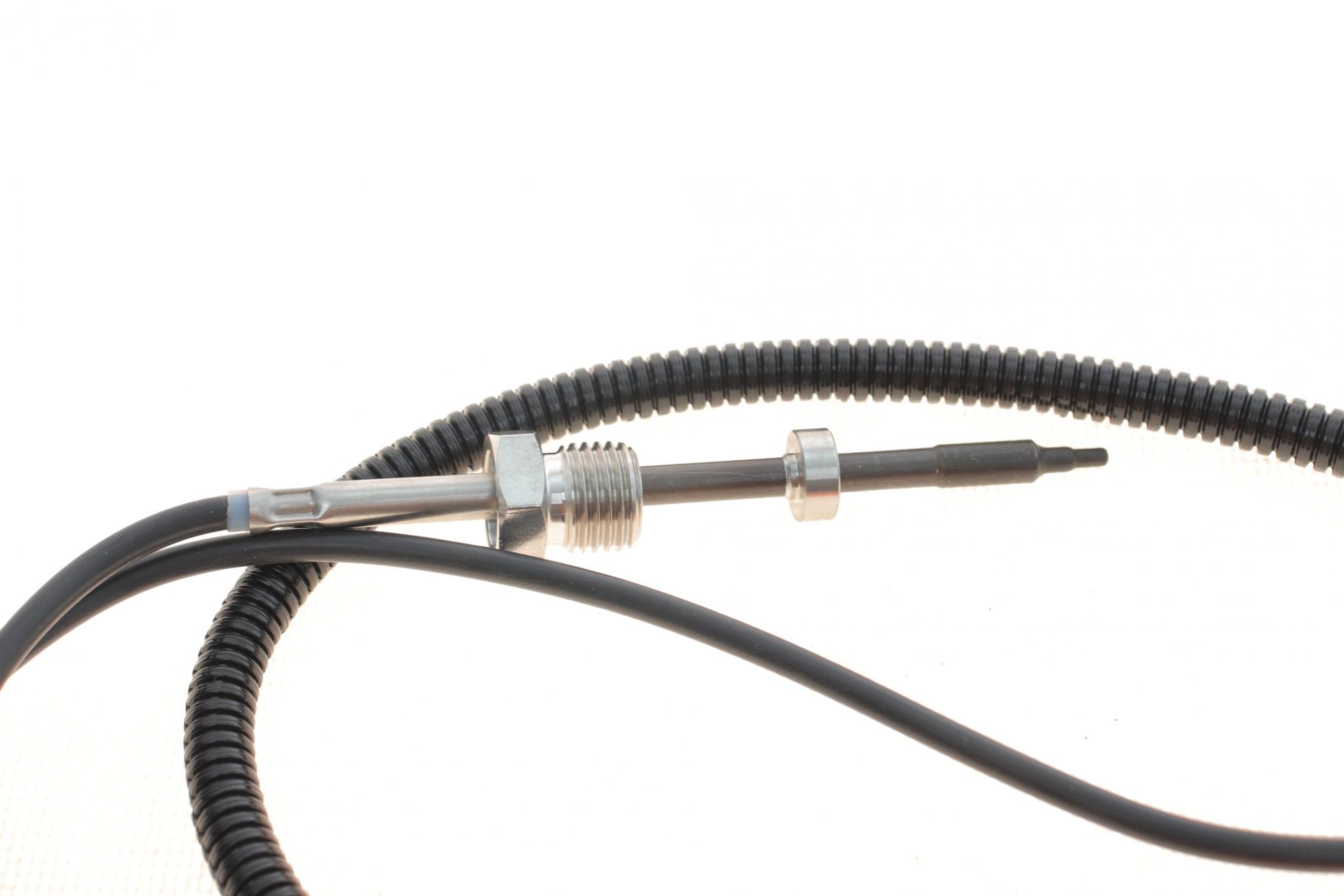 TS30166 DELPHI