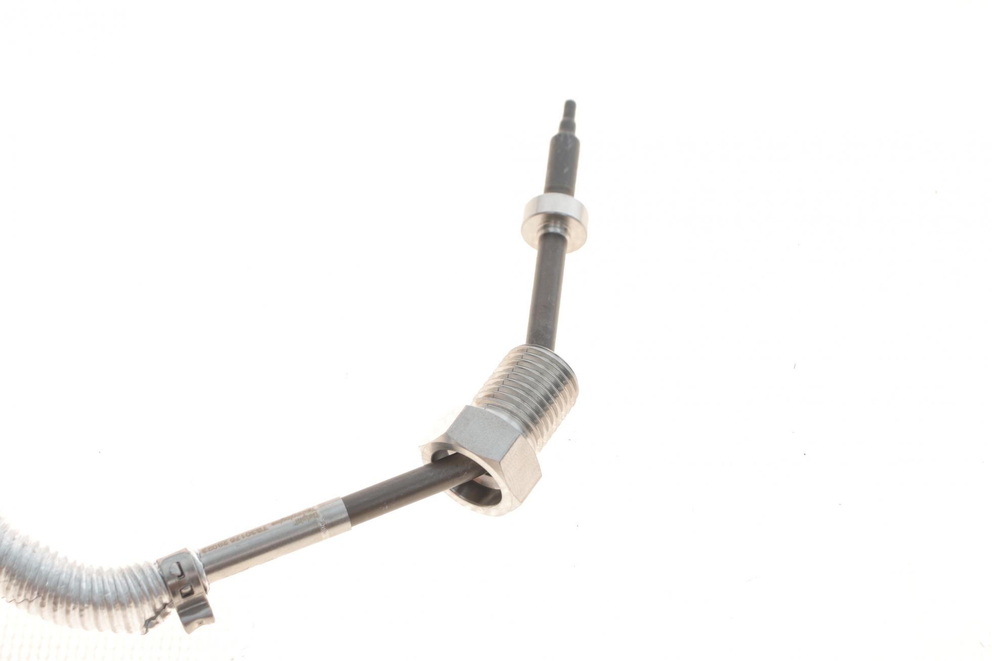 TS30176 DELPHI