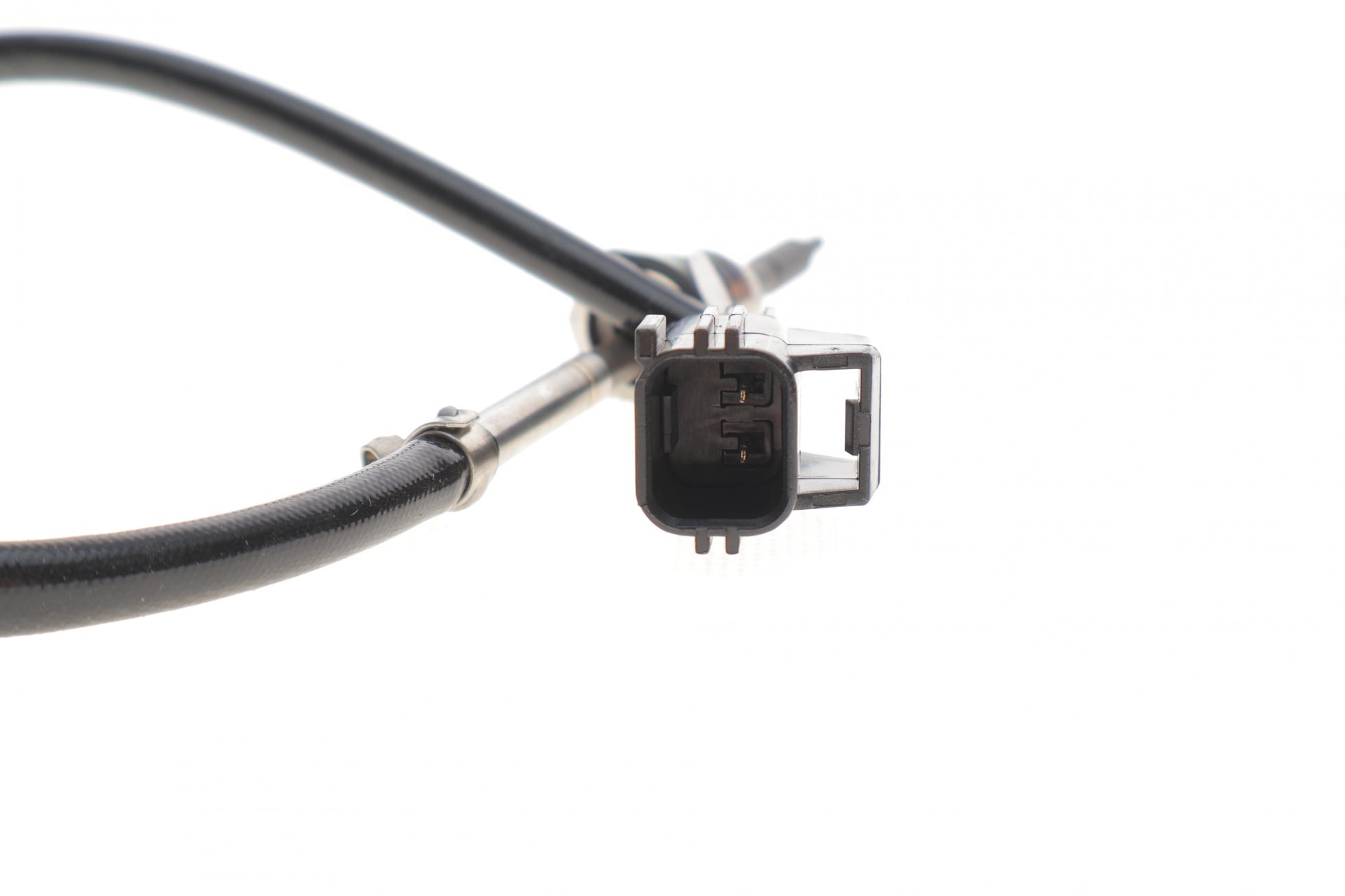 TS30224 DELPHI