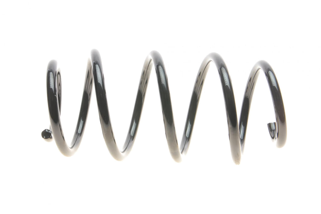 R10769 EIBACH