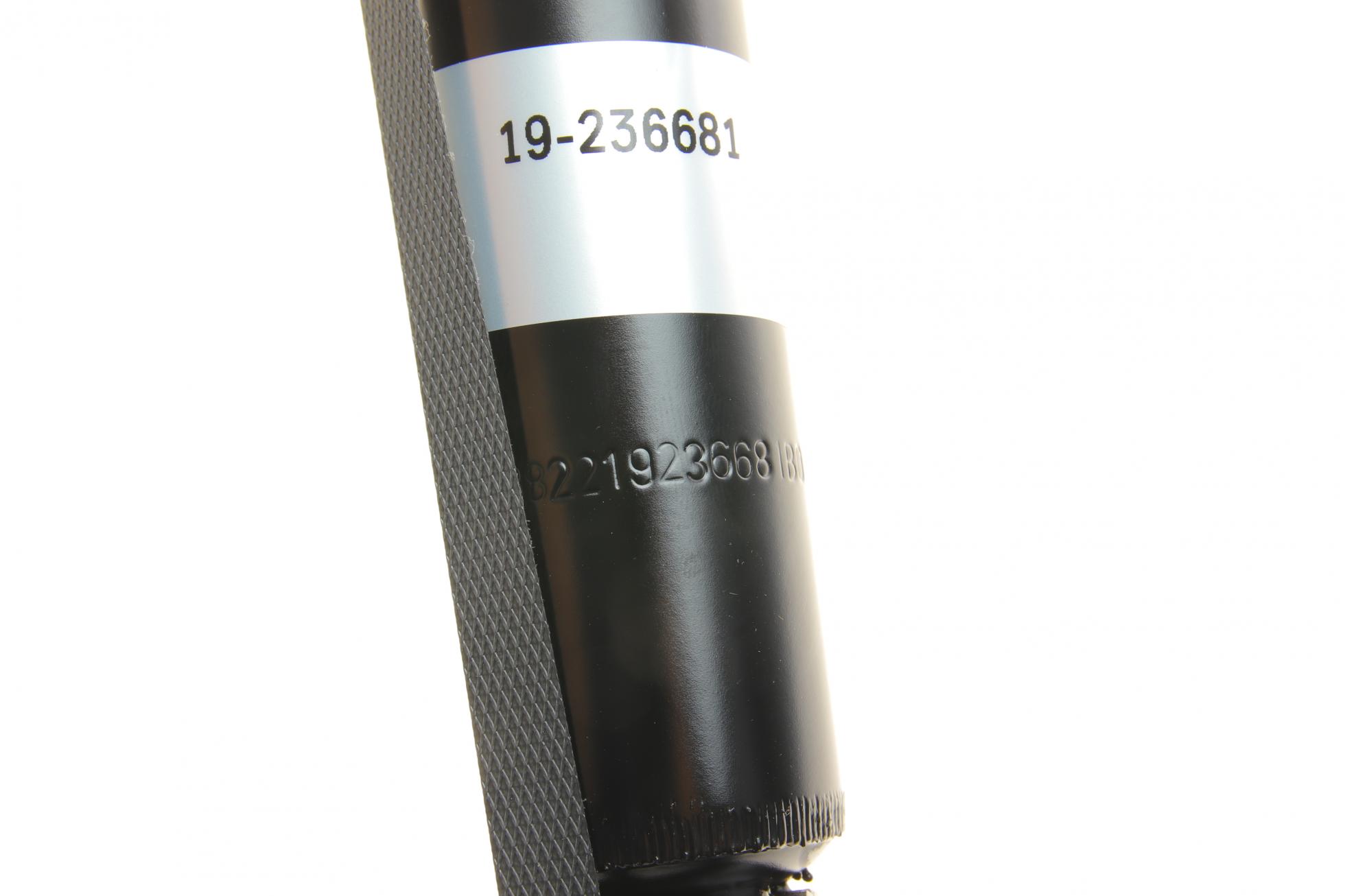 19236681 BILSTEIN