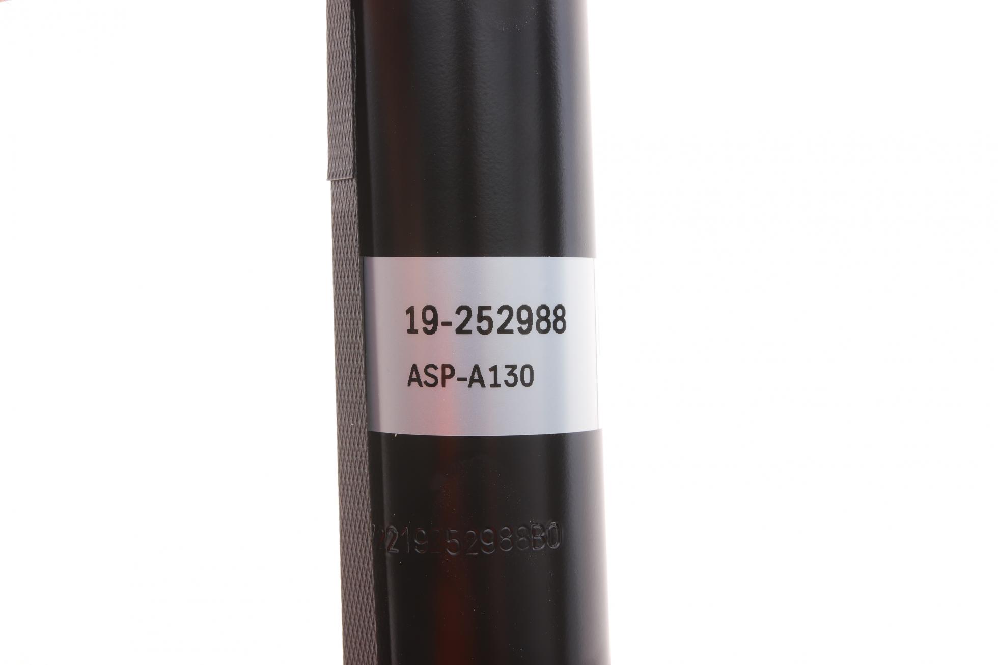 19252988 BILSTEIN