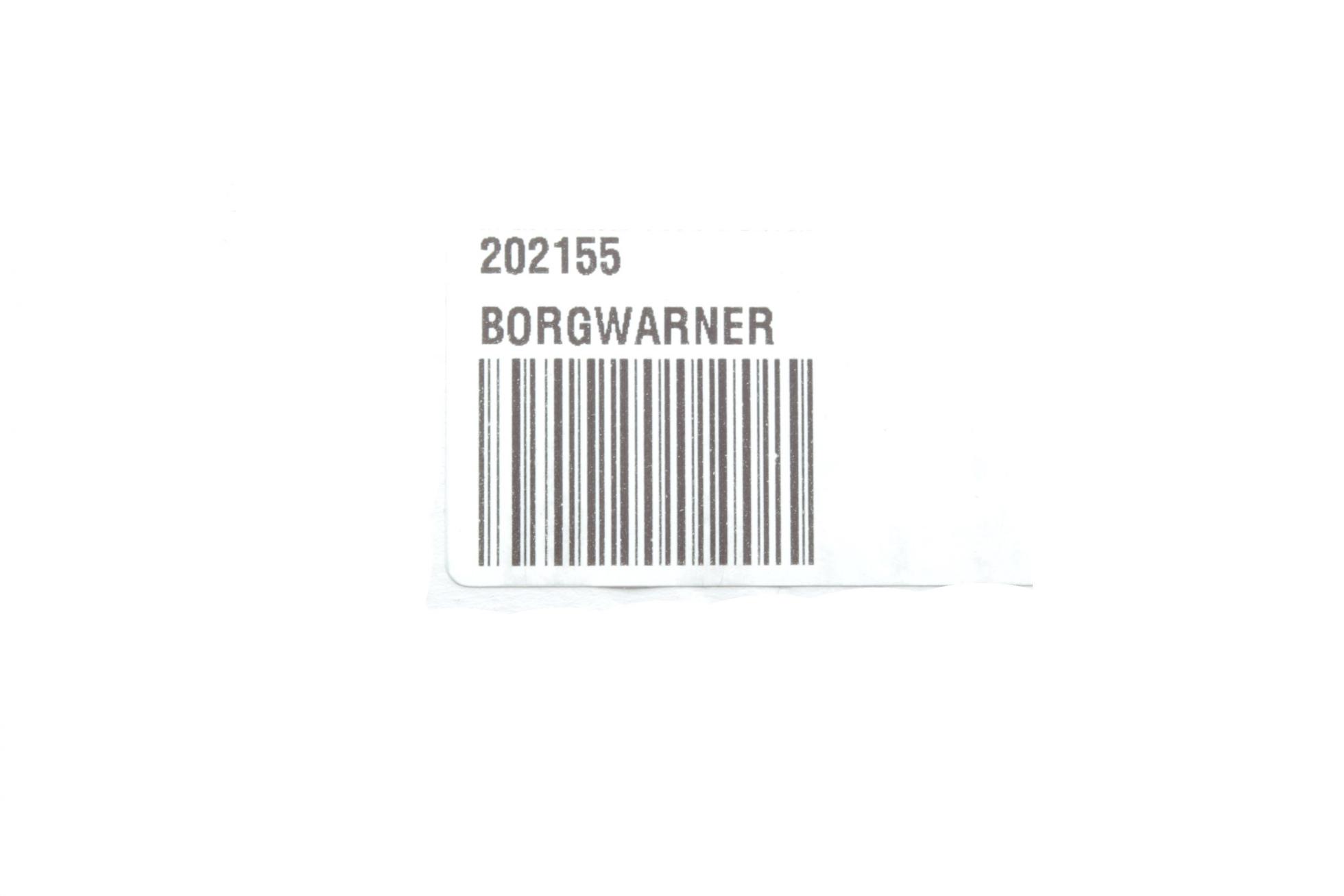 202155 BORGWARNER