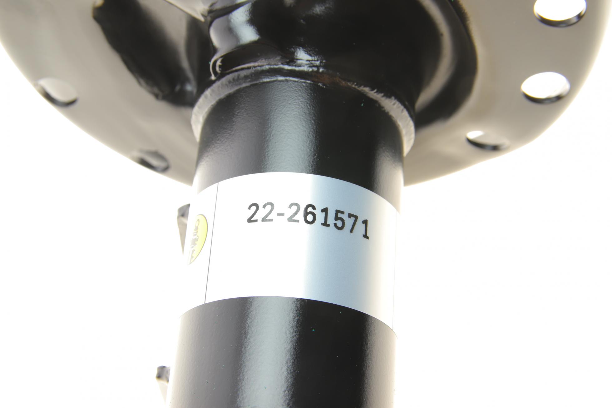 22261571 BILSTEIN