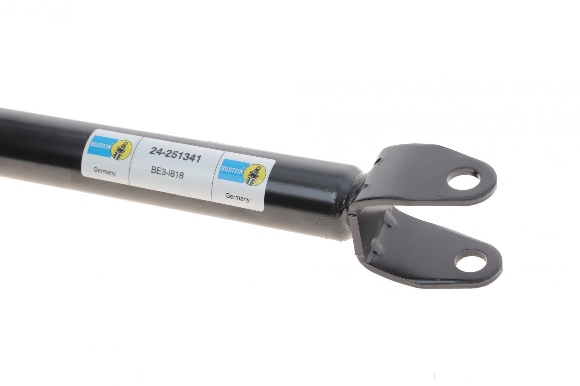 24251341 BILSTEIN