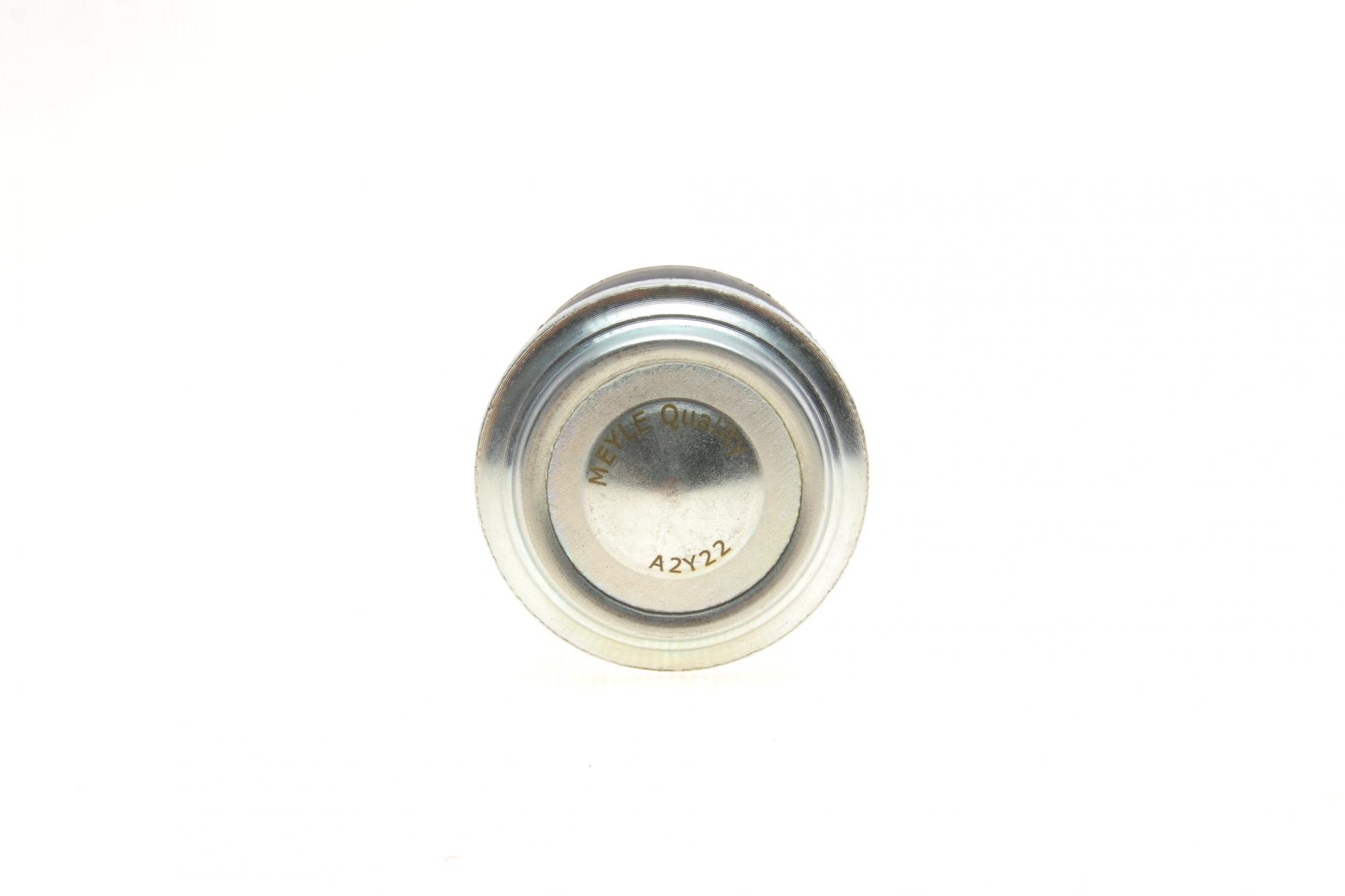 37160100006 MEYLE