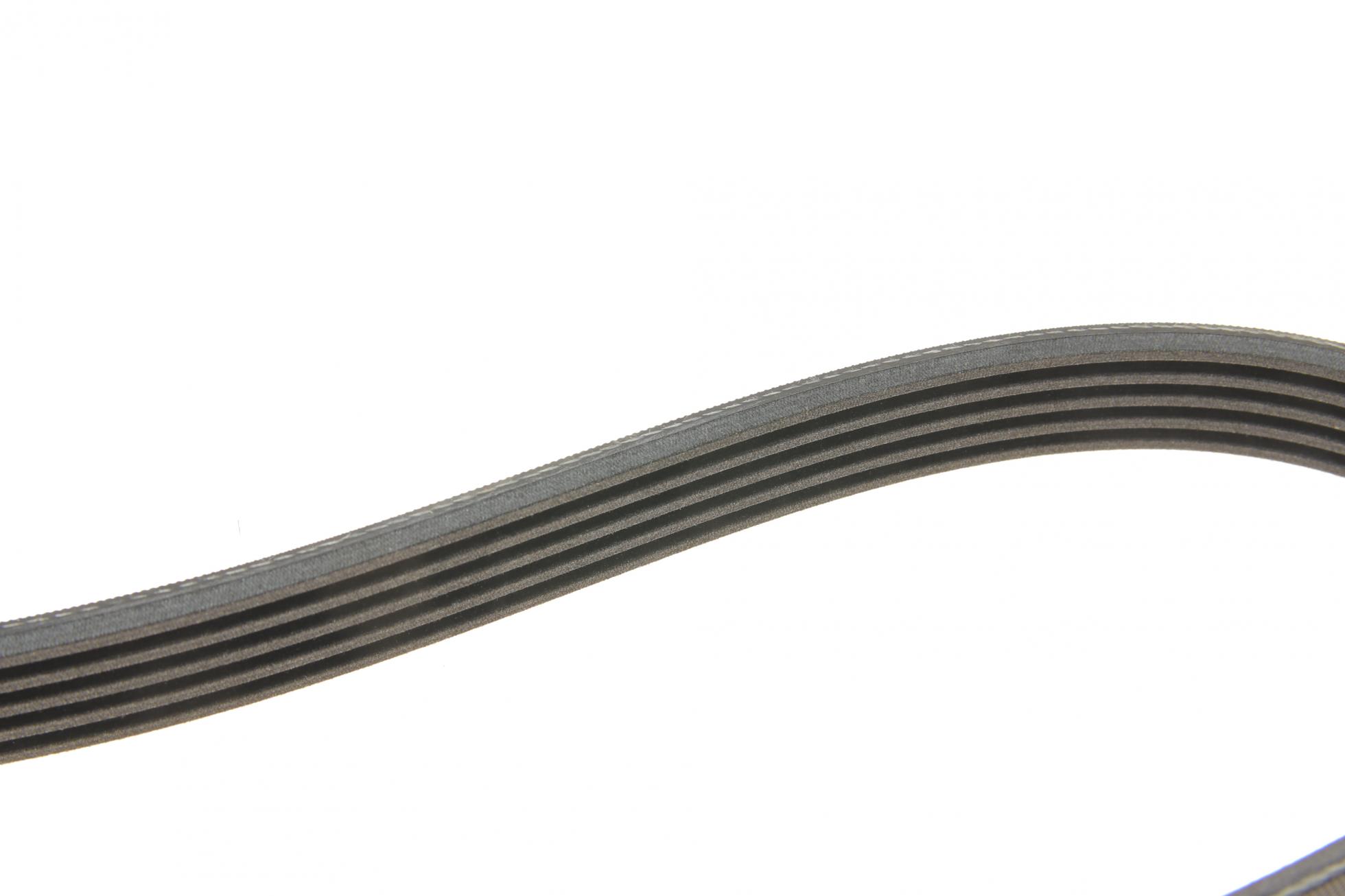 5PK1300K1 CONTITECH