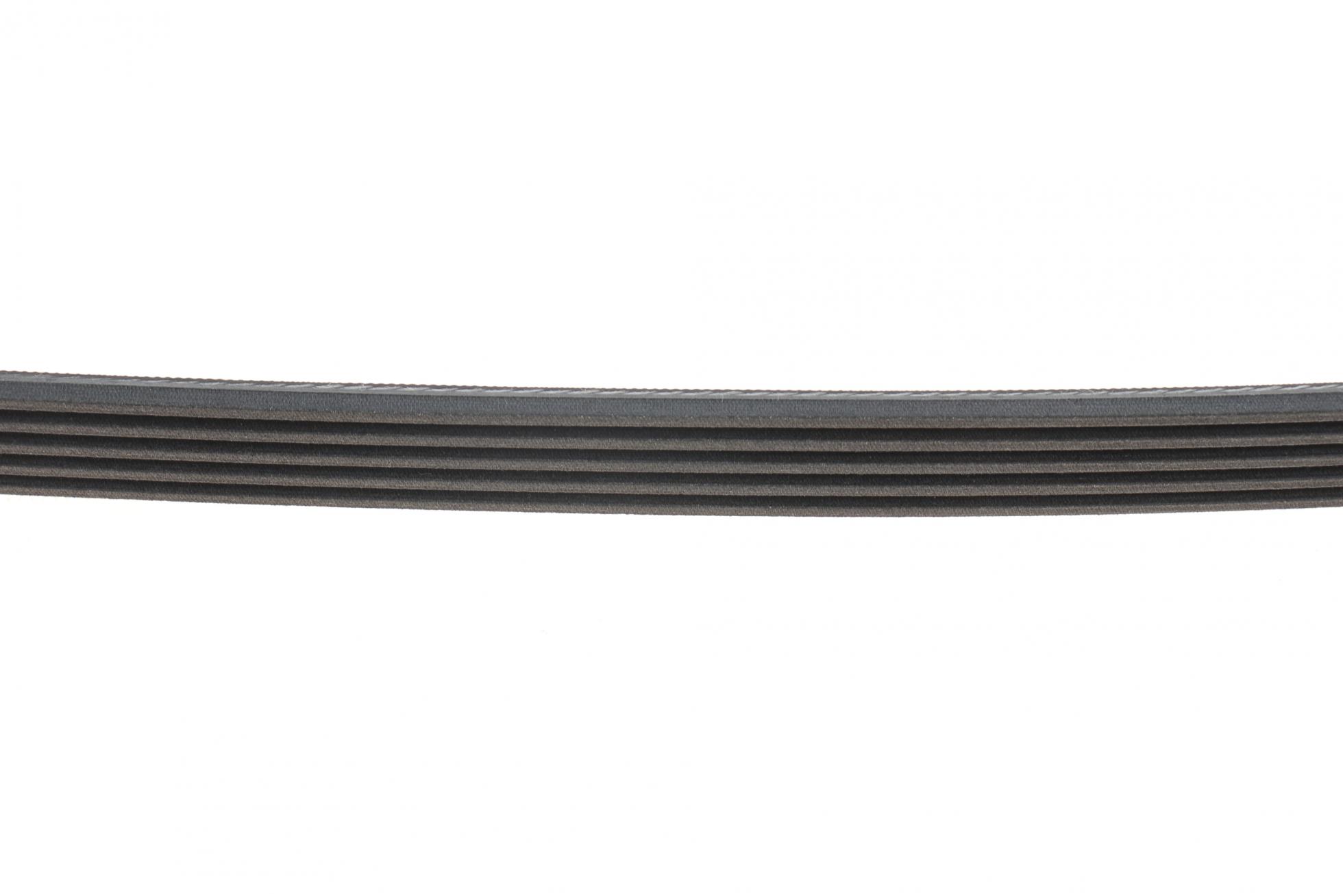 5PK1310 CONTITECH