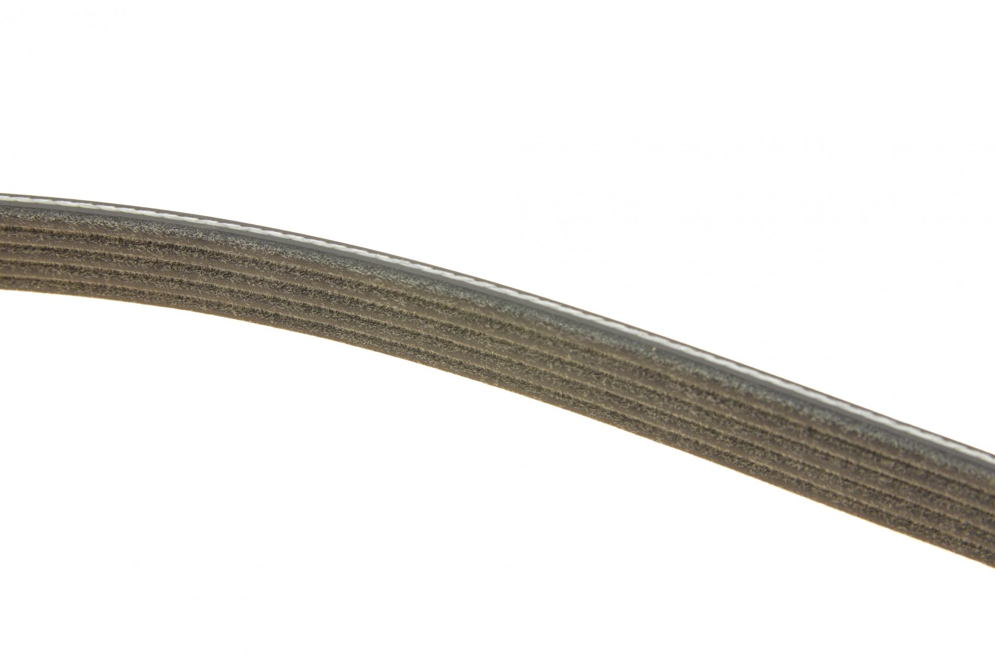 5PK1960S DAYCO