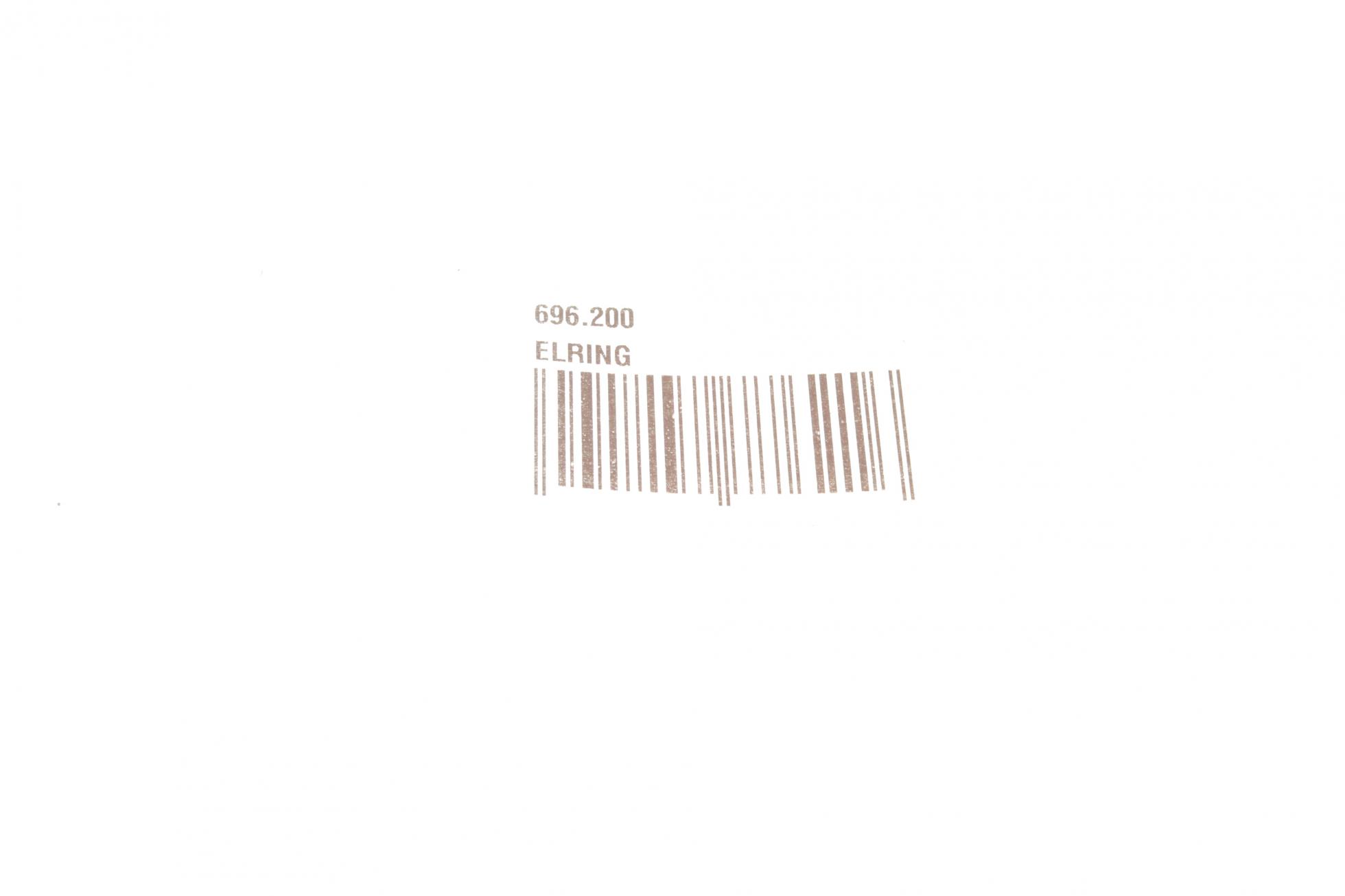 696200 ELRING