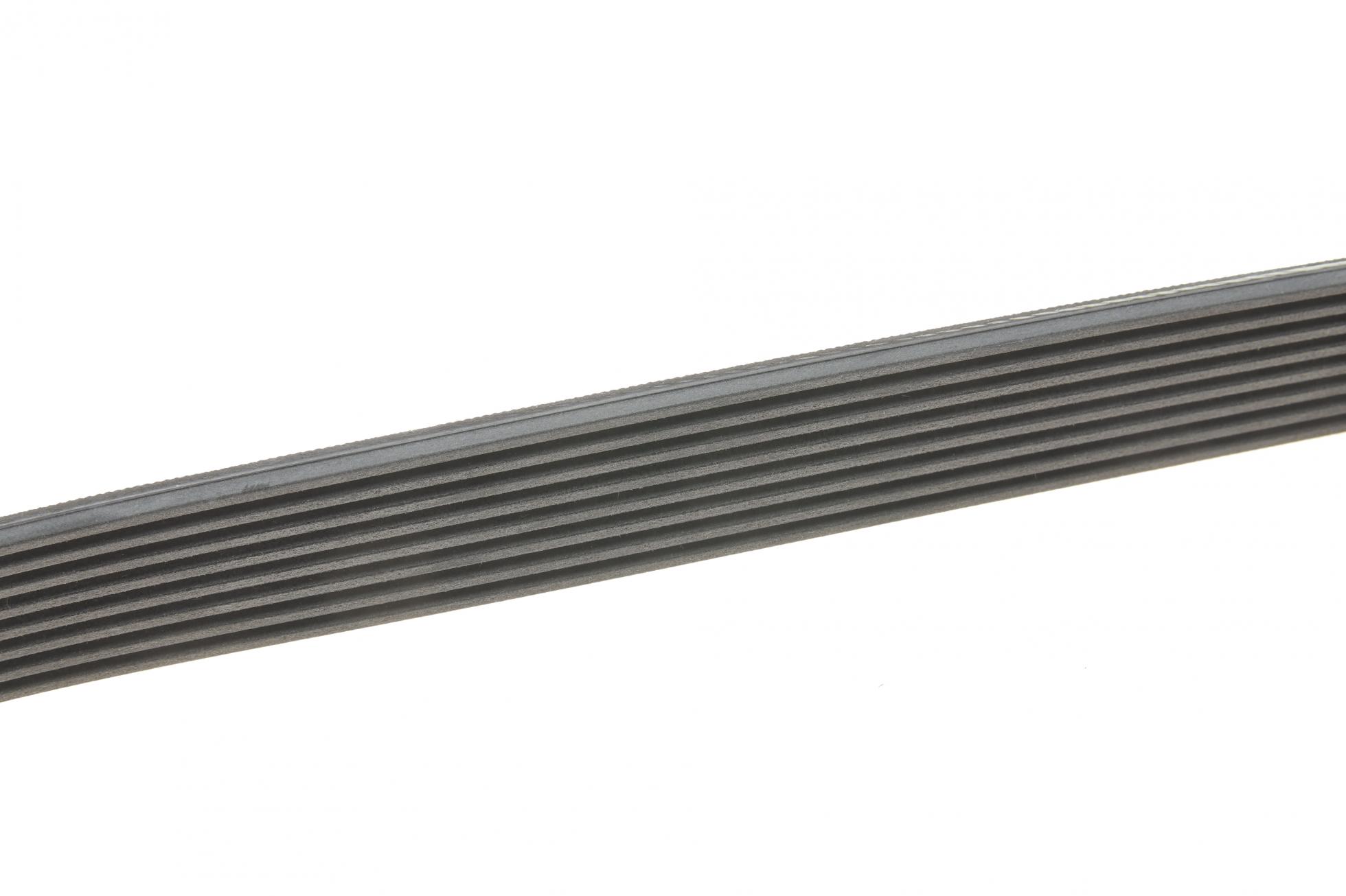 8PK954EXTRA CONTITECH
