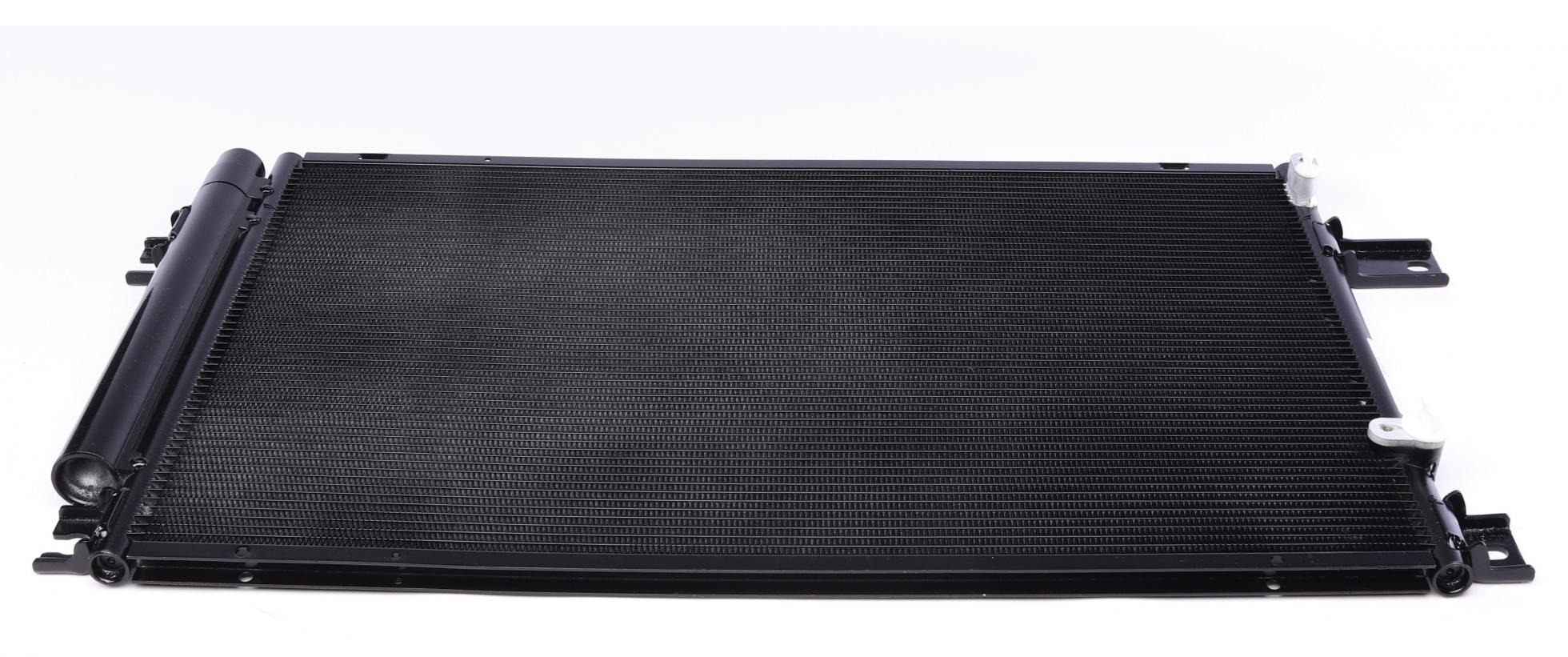 AC819000S MAHLE