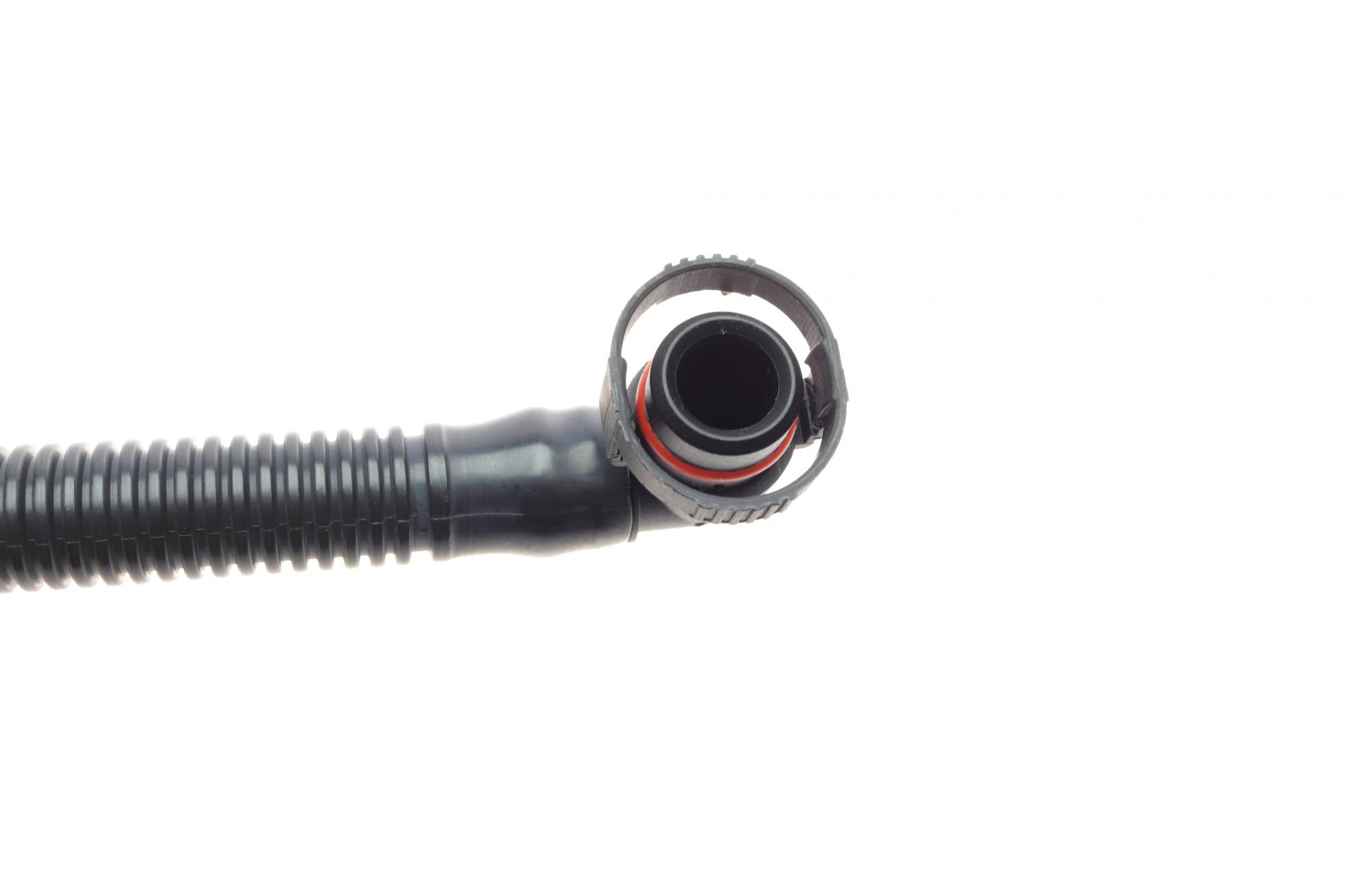 B1210166 BOGAP