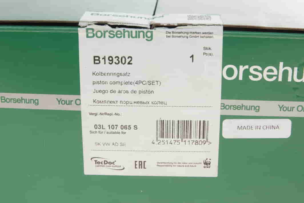 B19302 BORSEHUNG