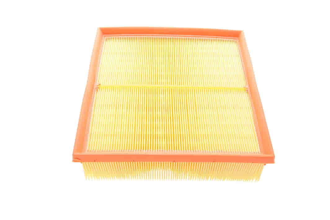 C22020 MANN-FILTER