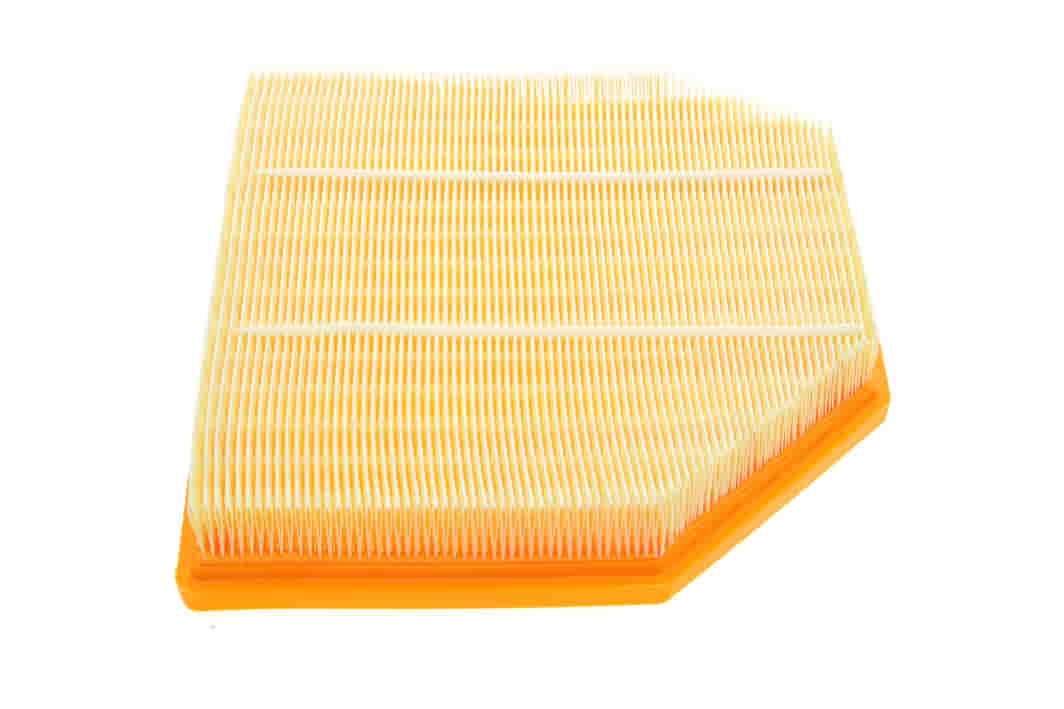 C24242 MANN-FILTER